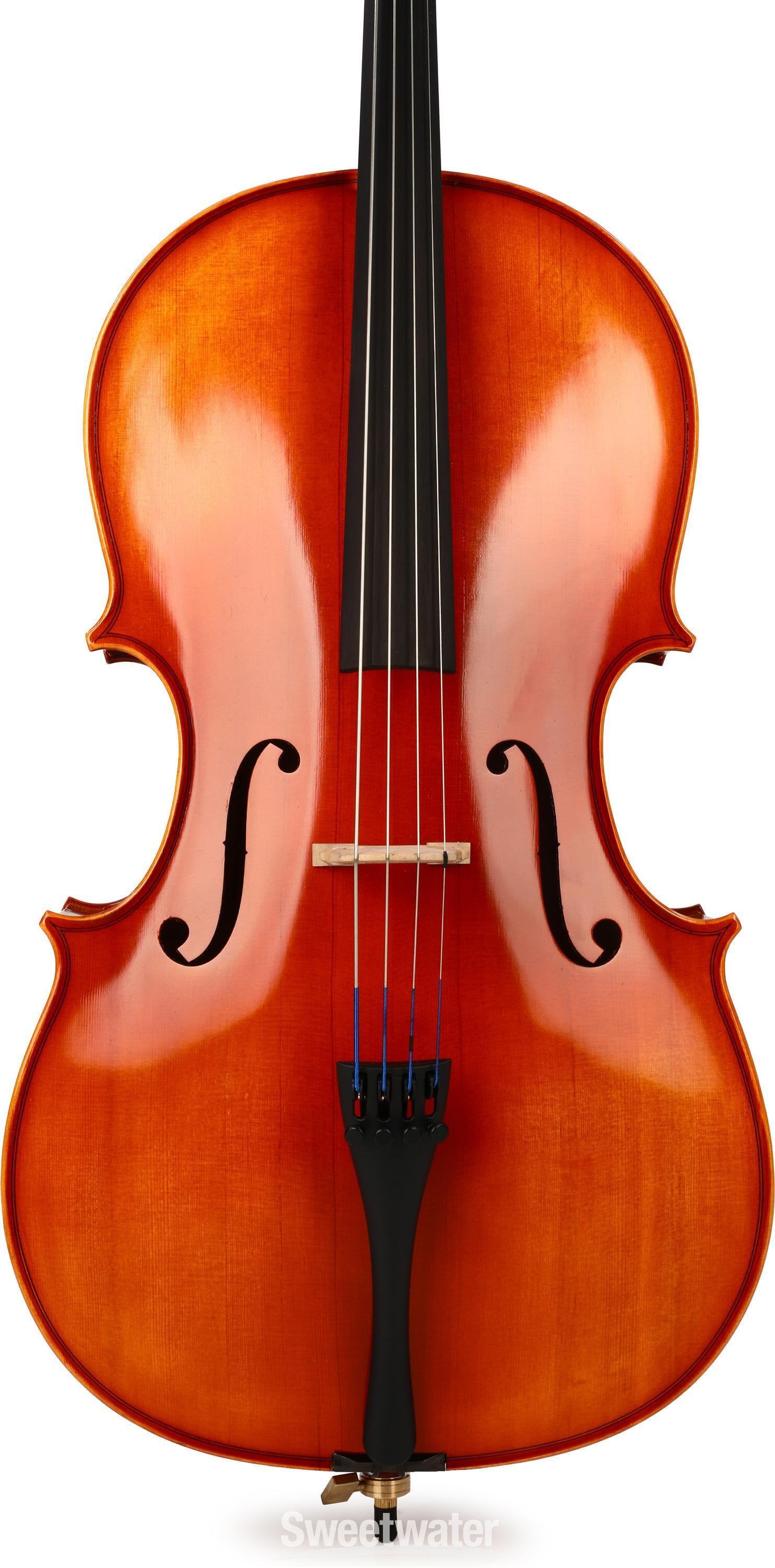 【調整品】EASTMAN VC100 4/4 2002年製 チェロ Eastman Eastman VC100 4/4 チェロセット イーストマン