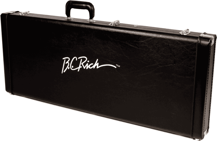 Custom best sale bass case