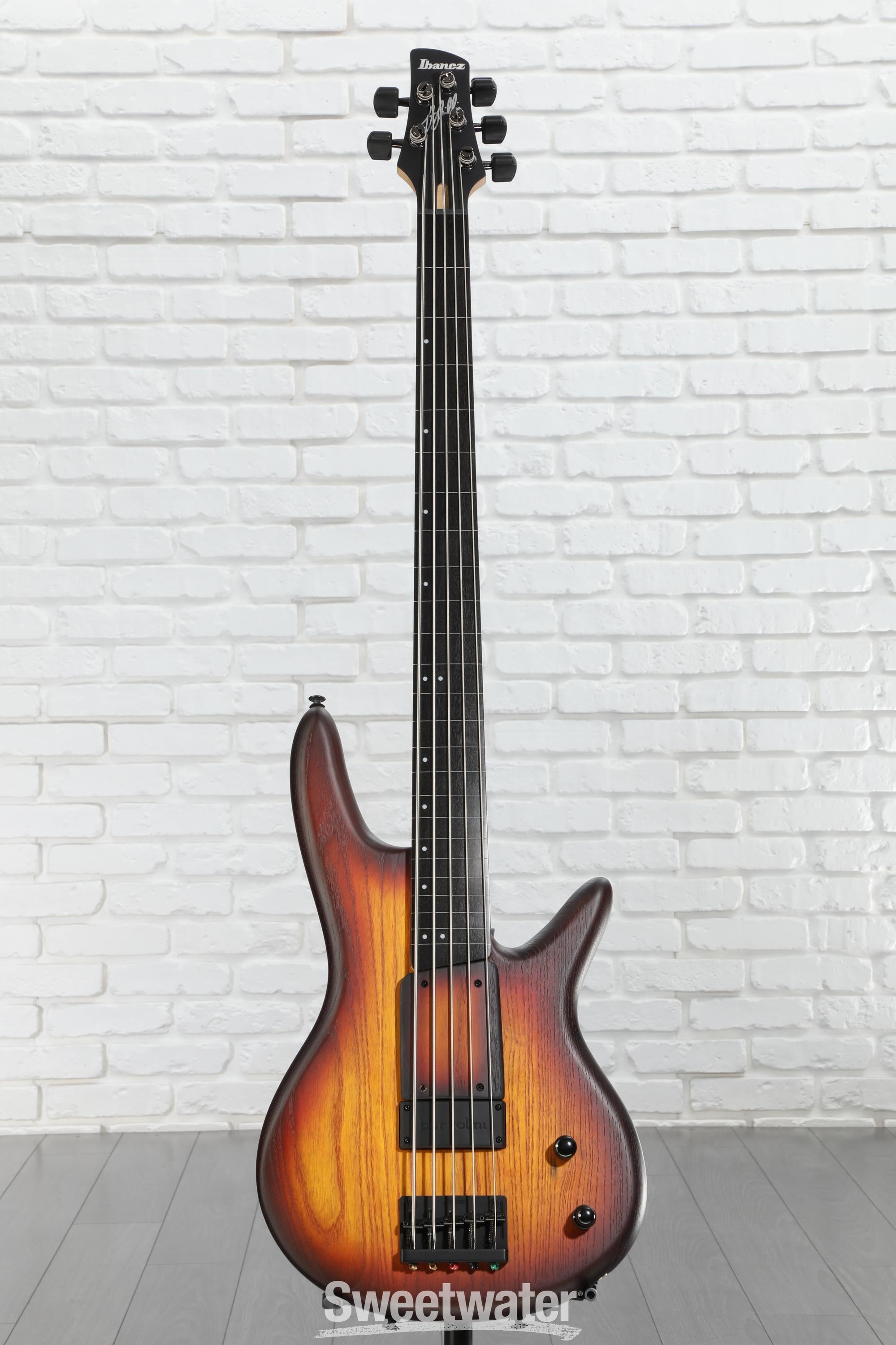 Ibanez Gary Willis Signature GWB205 Fretless Bass Guitar