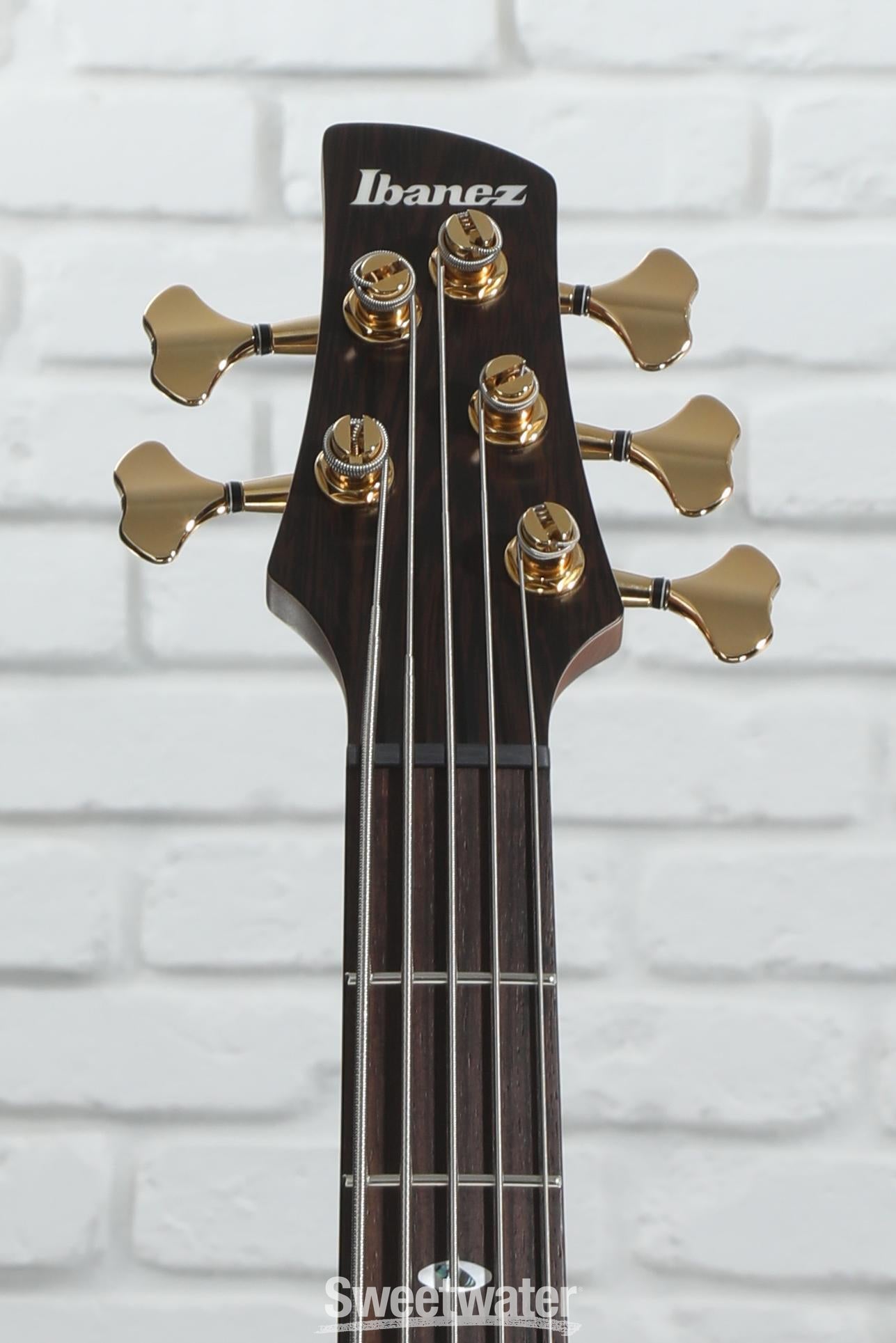 Ibanez Prestige SR6605 5-string Bass Guitar - Ghost Fleet Blue Burst