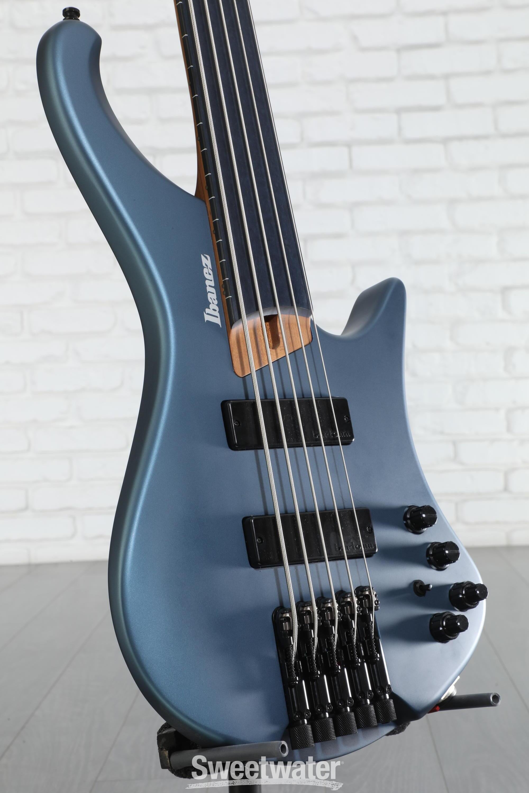 Ibanez Standard EHB1005F Fretless 5-string Bass Guitar - Arctic