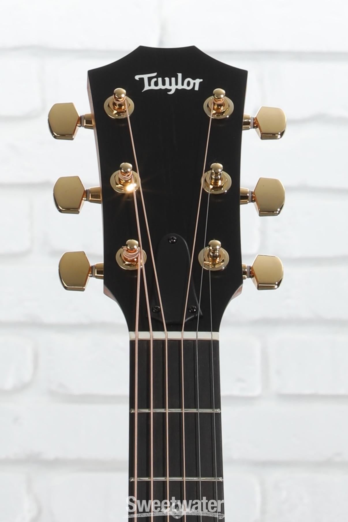 Taylor 224ce-K DLX Grand Auditorium Acoustic-electric Guitar - Tobacco