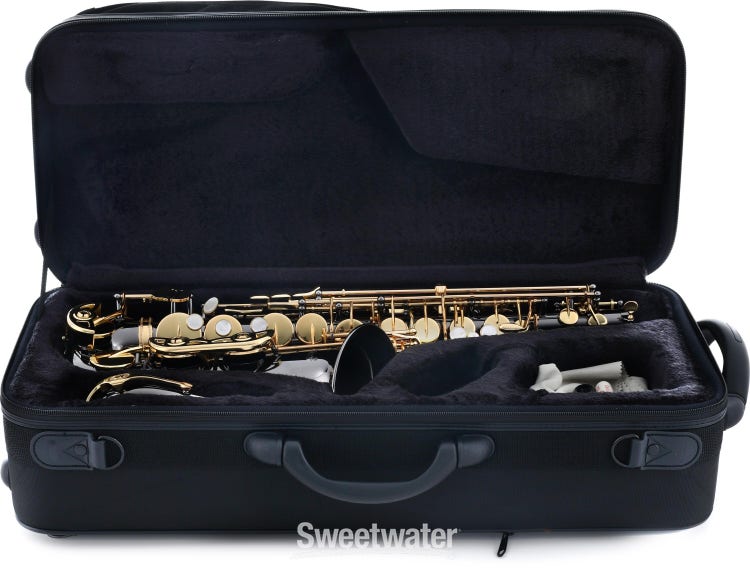 Portable Black Pocket Mini Saxophone Little Sax Simple Music Tool + Ca