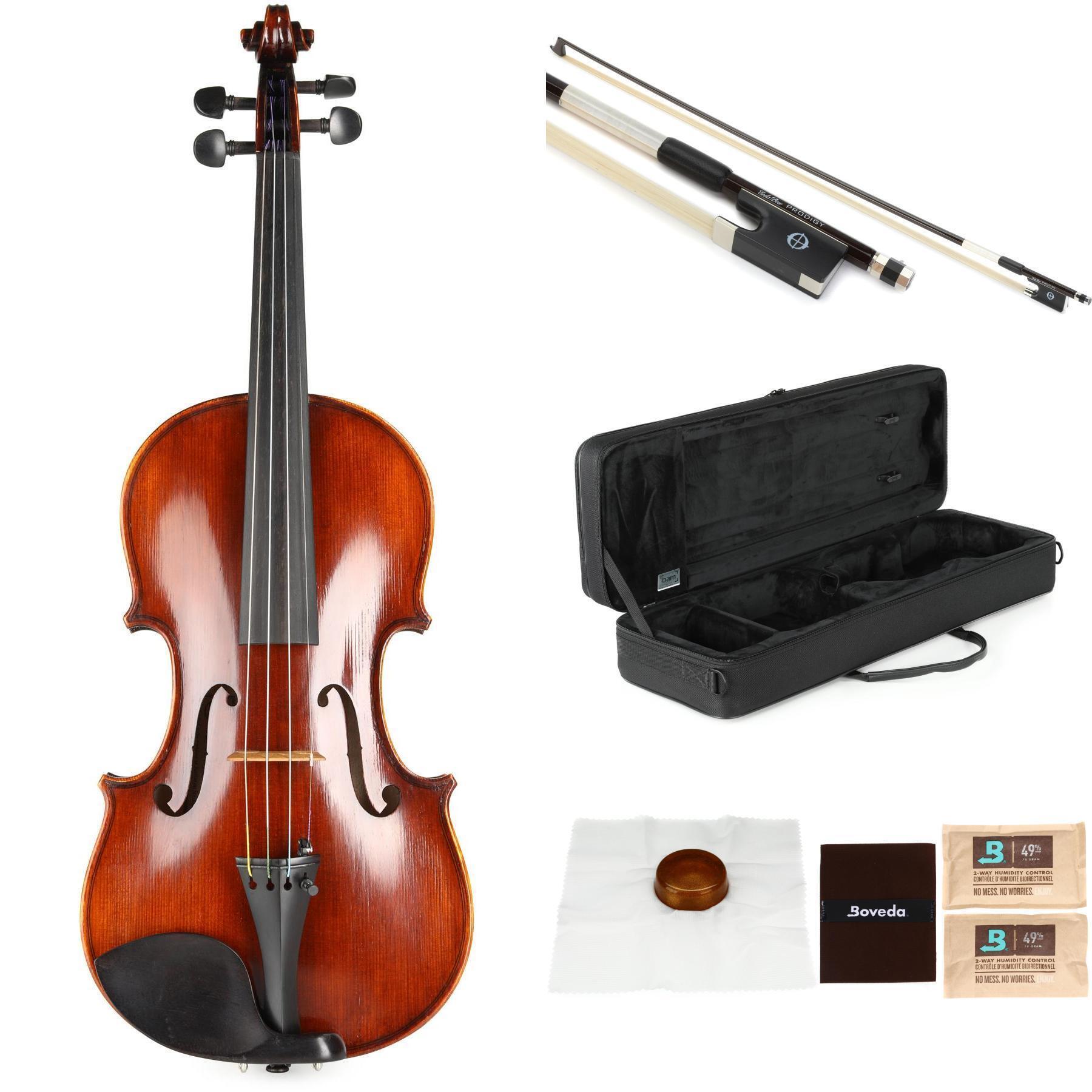 Andreas Eastman vl305 バイオリンケース・カーボンファイバー - 弦楽器