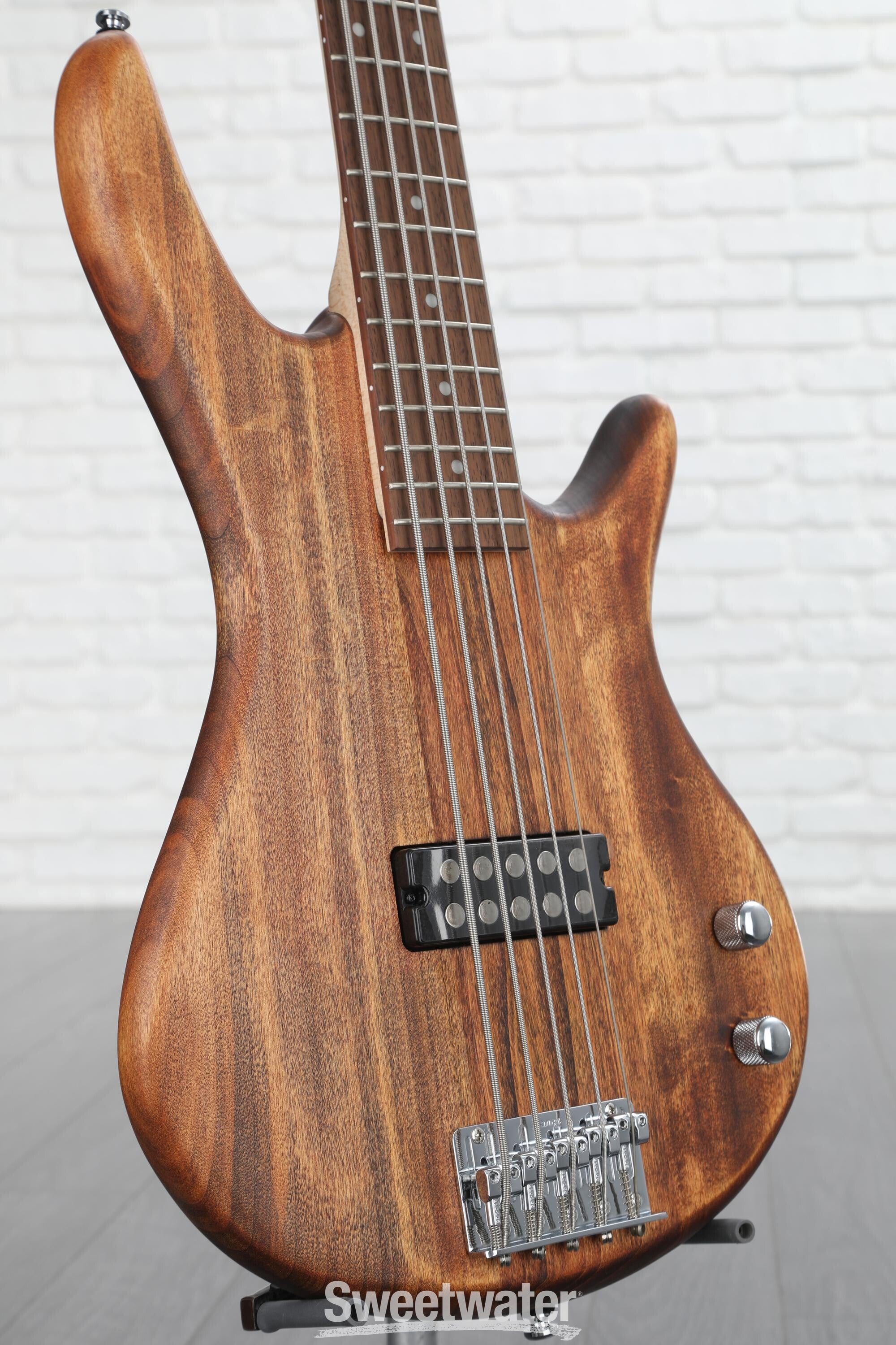 Ibanez Gio GSR105EXMOL 5-string Bass Guitar - Natural | Sweetwater