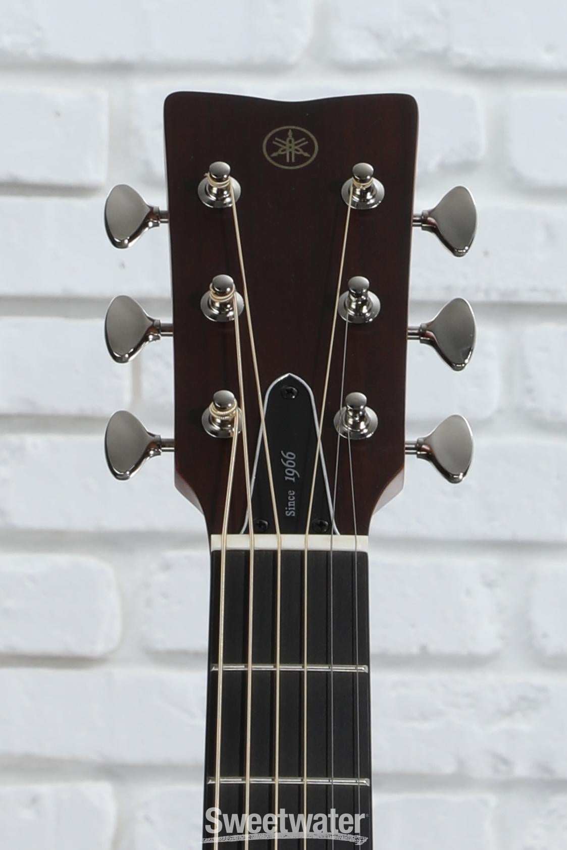 ギター YAMAHA FS5 Yamaha FS5 Gloss Concert Acoustic Guitar Vintage Natural