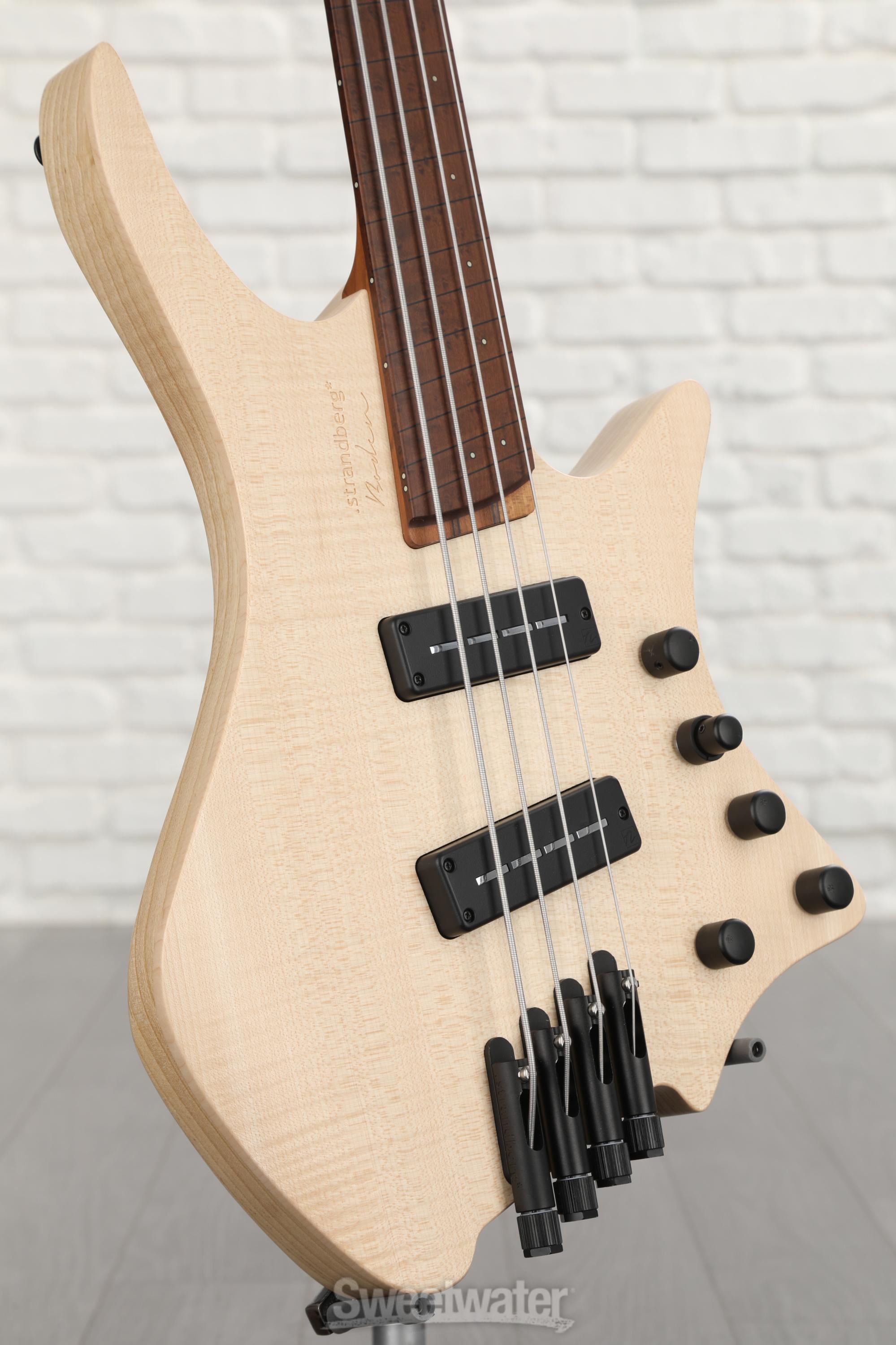 Strandberg fretless deals bass