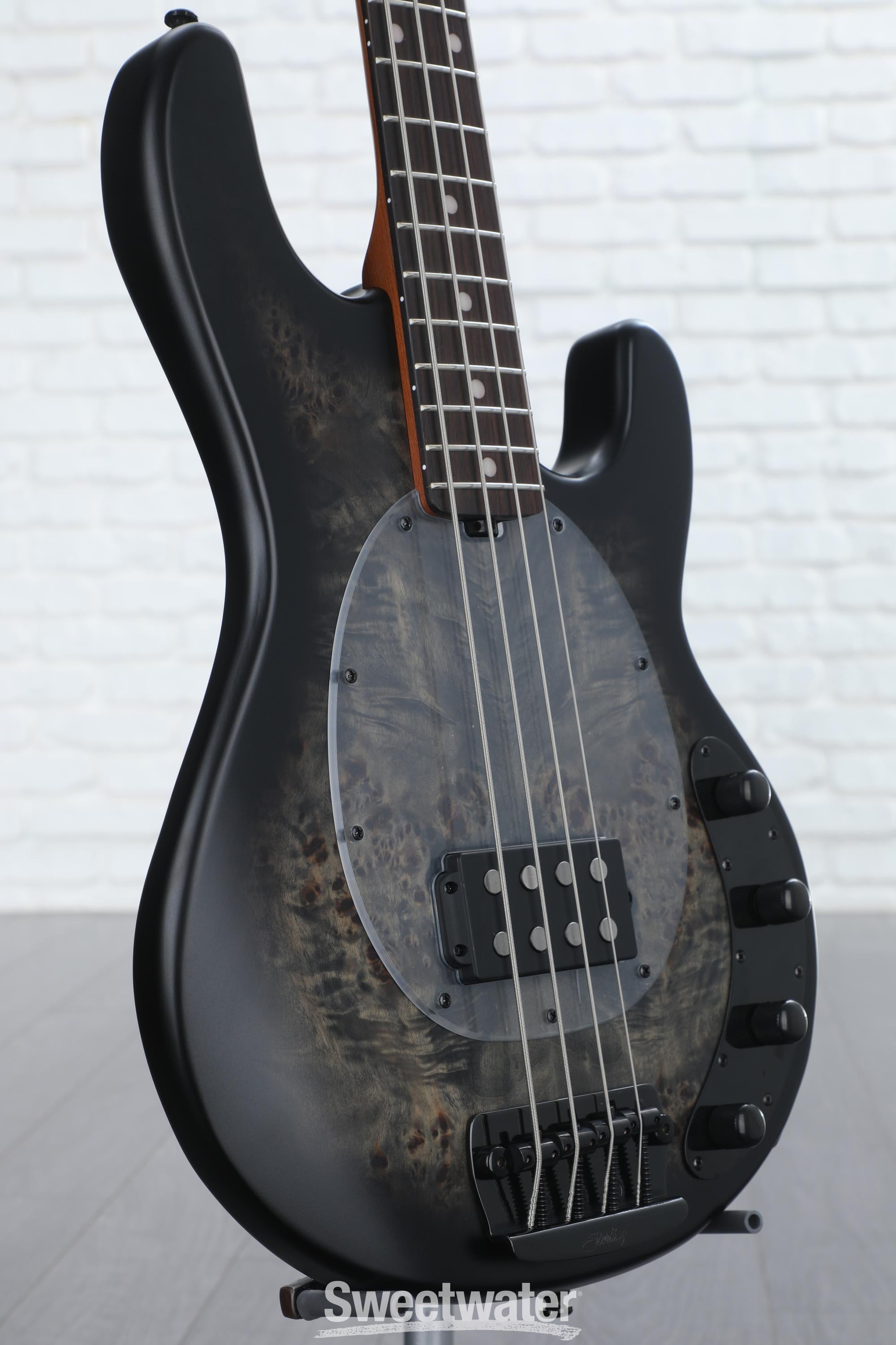 Sterling by MUSIC MAN RAY34　ブラック StingRay RAY34 | Basses | Sterling by Music Man