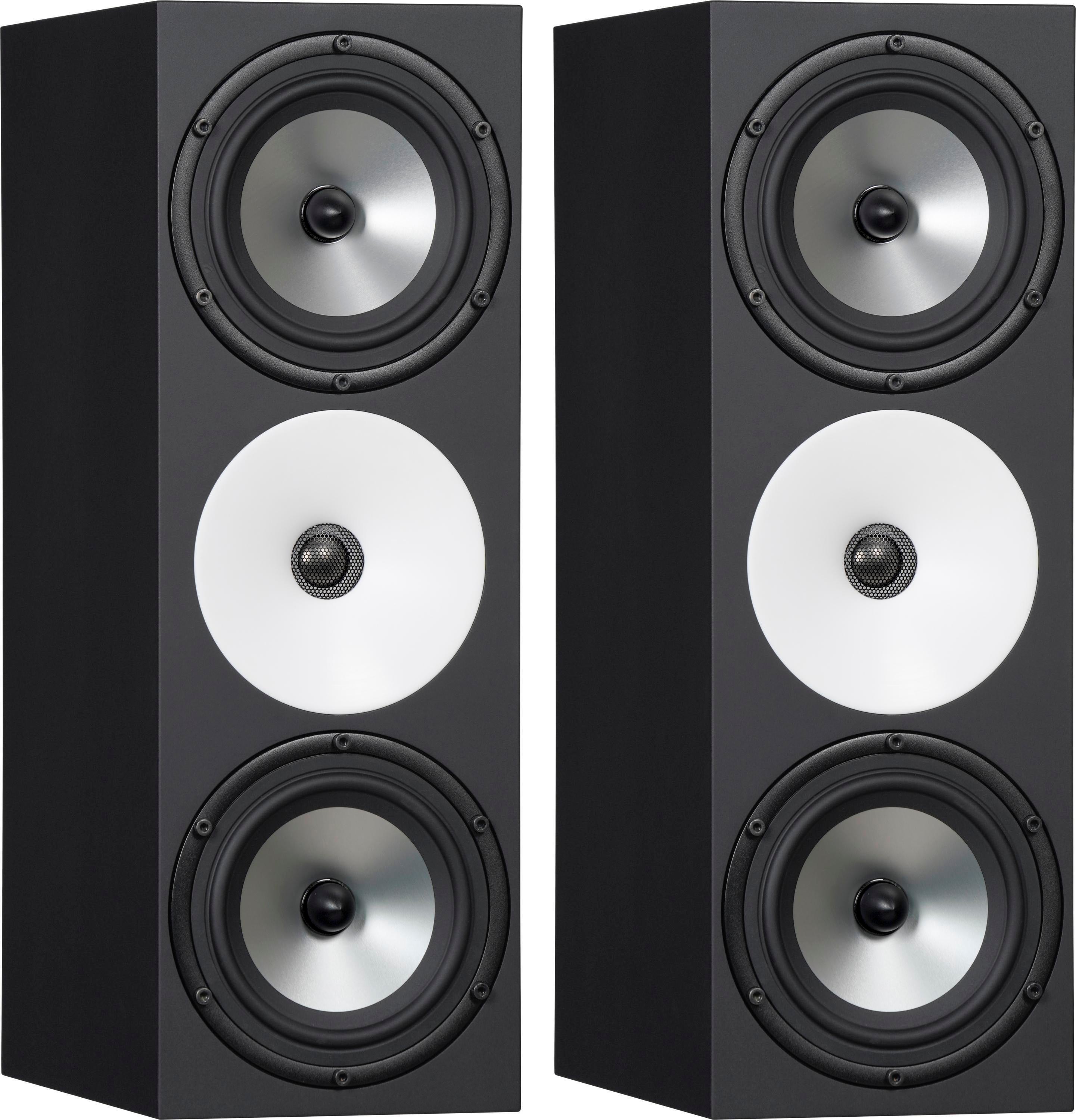 Amphion Two18X Dual 6.5-inch Passive Studio Monitors - Pair