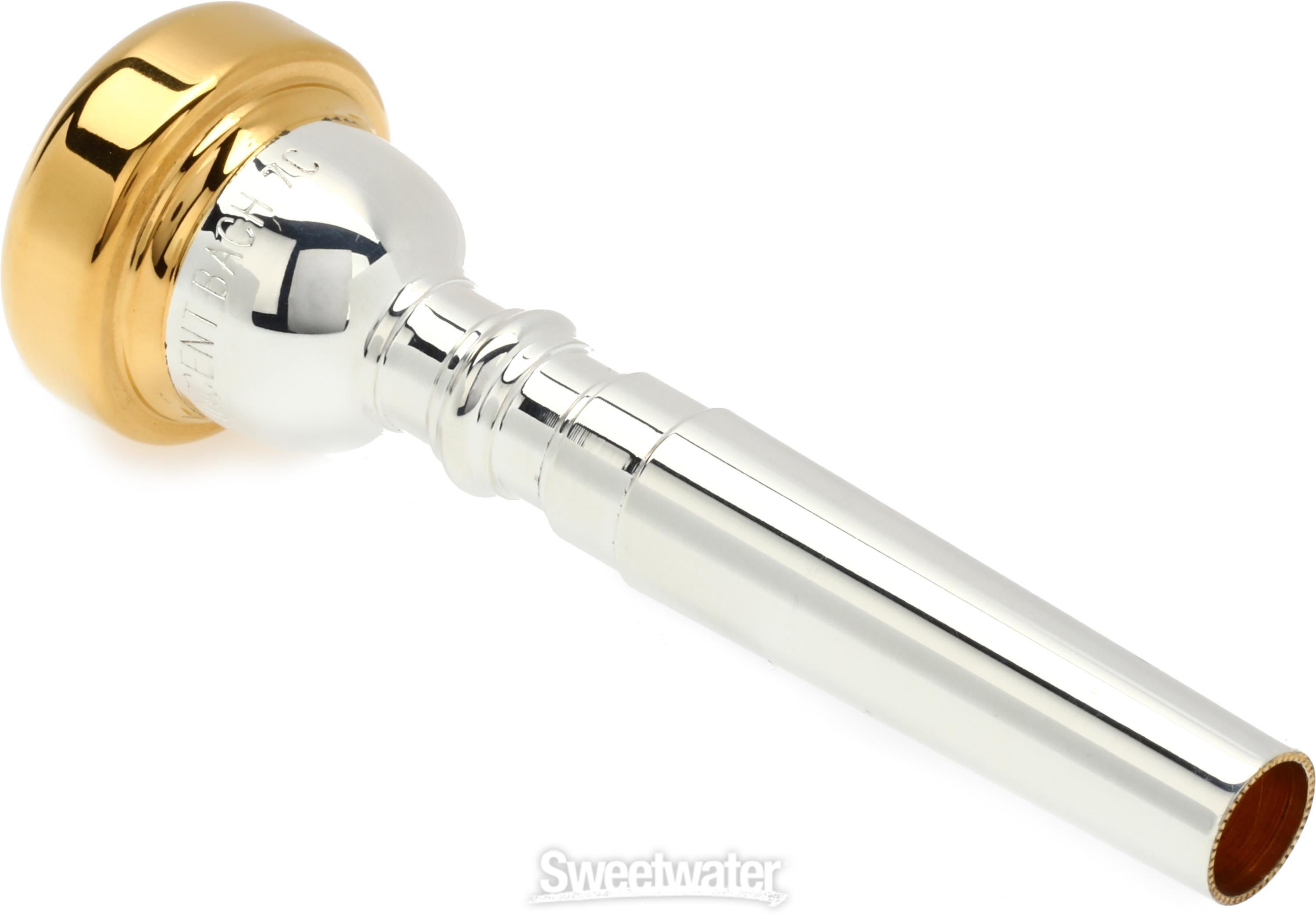 Bach 351 Classic Series Silver-plated Trumpet Mouthpiece with Gold-plated  Rim - 7C | Sweetwater