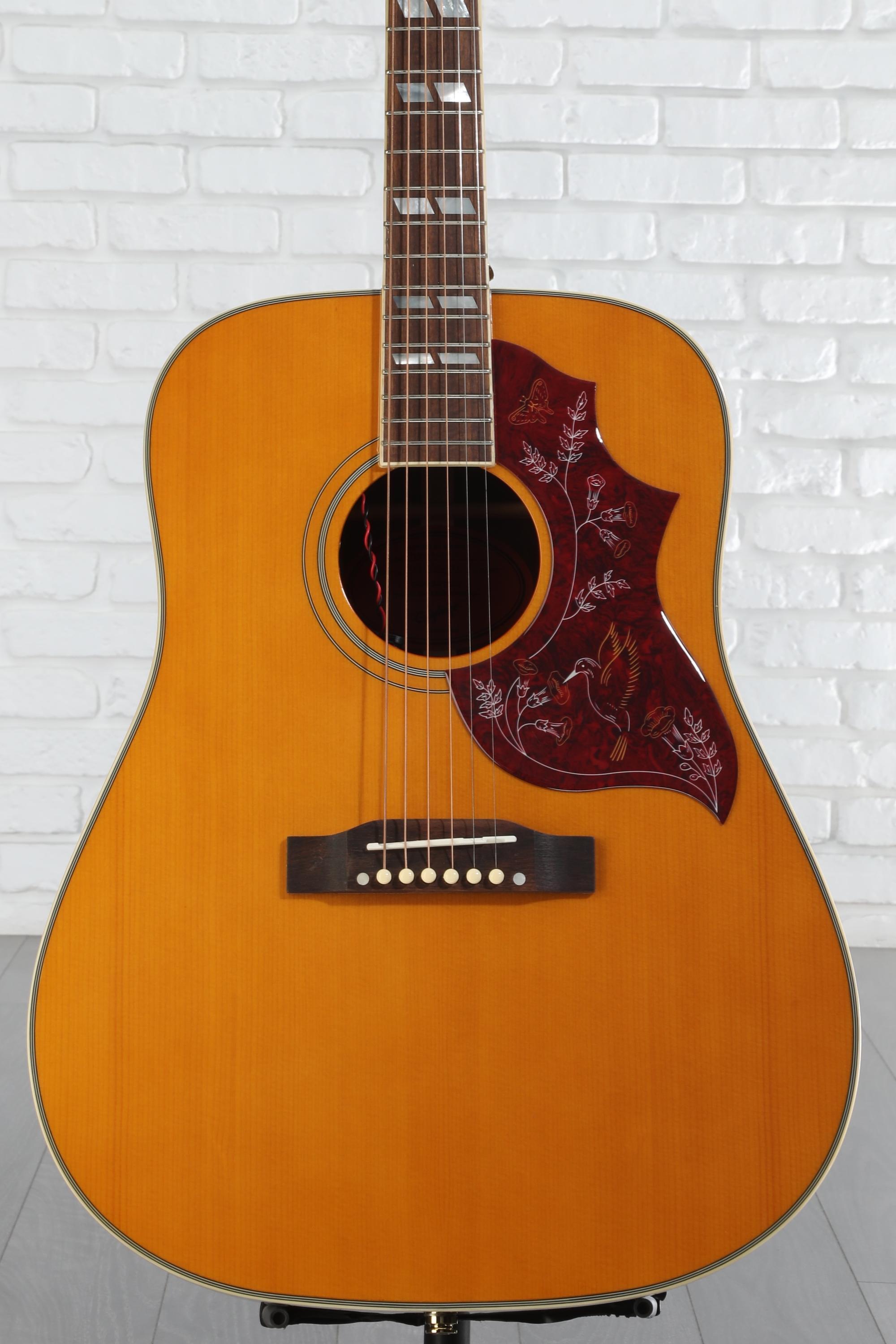 by Gibson Epiphone Hummingbirdエレアコ Dove Amazon.com: Epiphone Dove Studio Solid Top Acoustic Electric