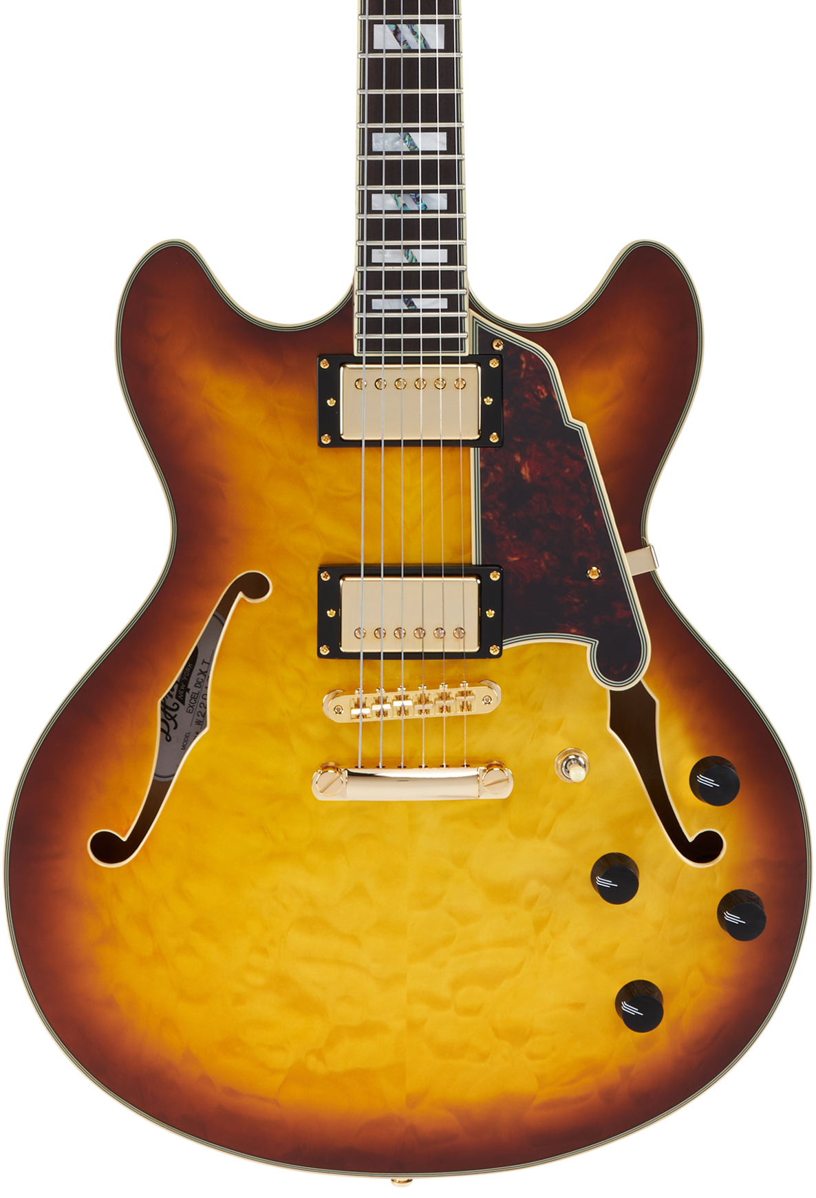 D'Angelico Excel DC XT Semi-hollowbody Electric Guitar D'Angelico Excel DC XT Semi-hollowbody Electric Guitar