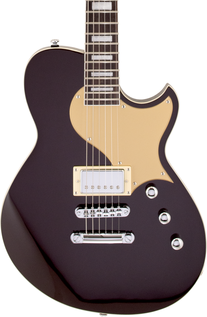 ミュージック The Guitar of PRESTON REED DSCF5628.jpg?crop=center&