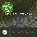 Photo of Output Ambient Vocals Expansion Pack for Exhale