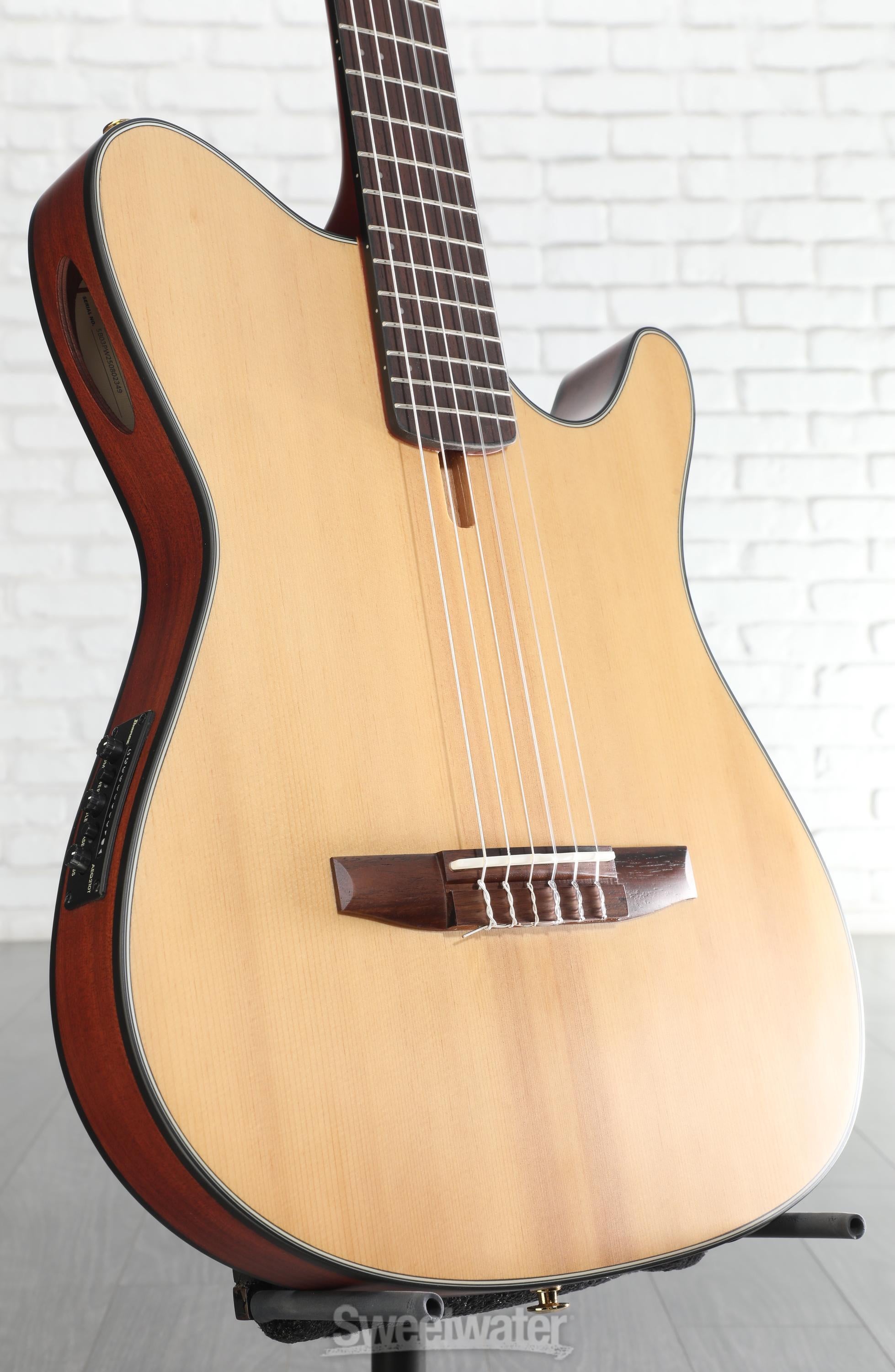 Ibanez FRH10N Thinline Nylon Acoustic-electric Guitar - Natural