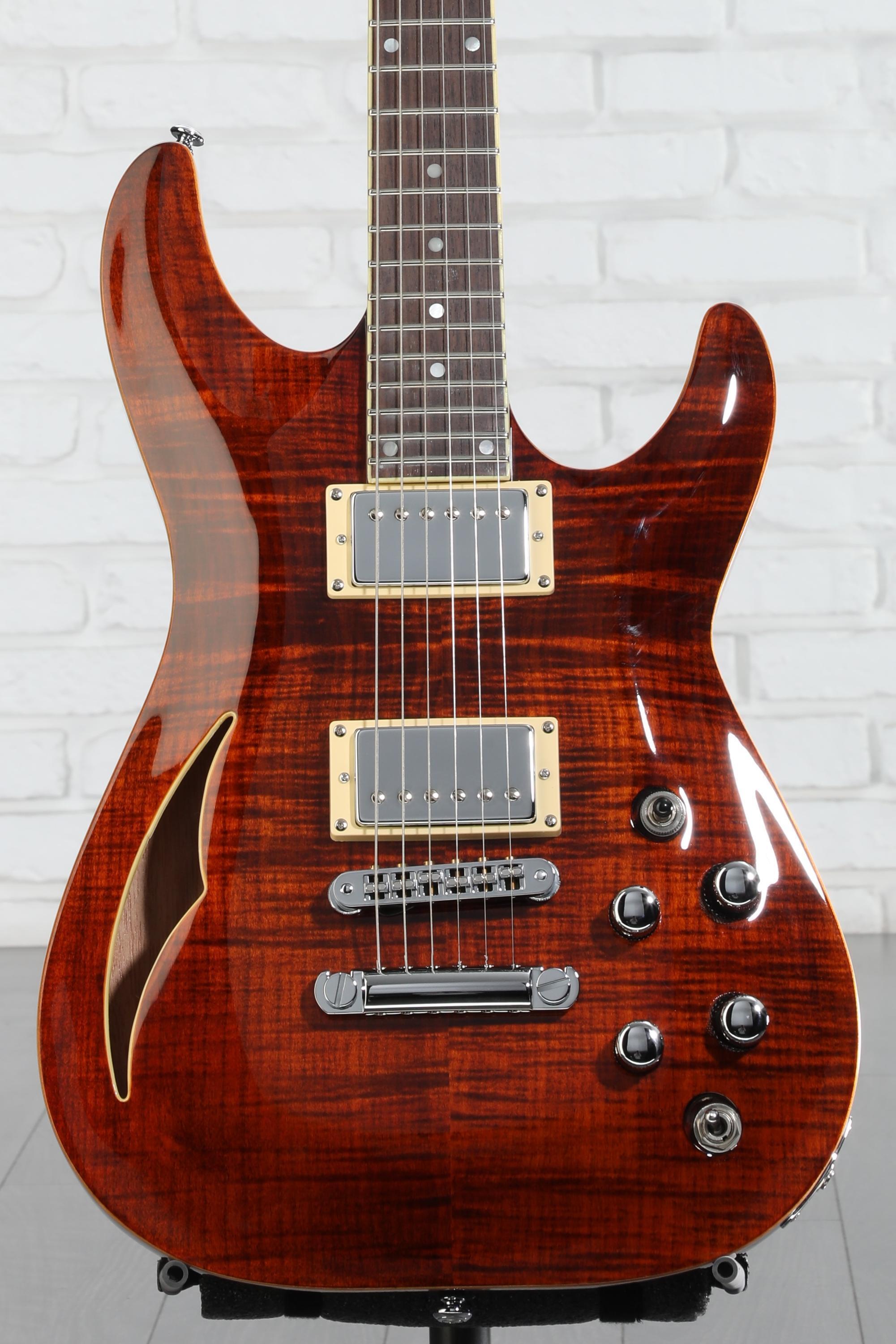 Schecter C-1 E/A Classic Semi-hollowbody Electric Guitar - Cats