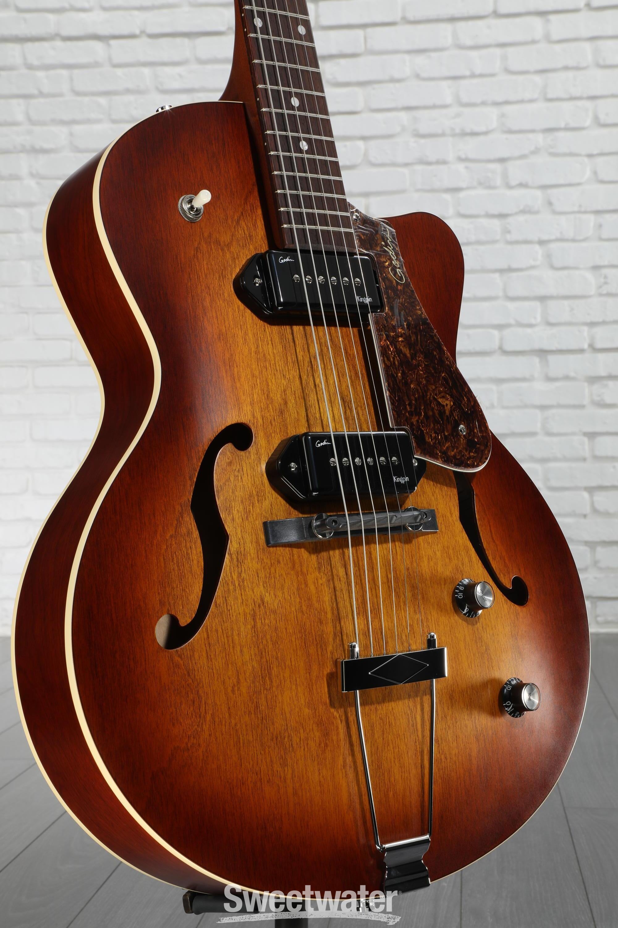 しーん sp. Brownie Ghost2011-2012 2025年最新】ブセファランドラ sp. brownie ghost 2011 nakamoto