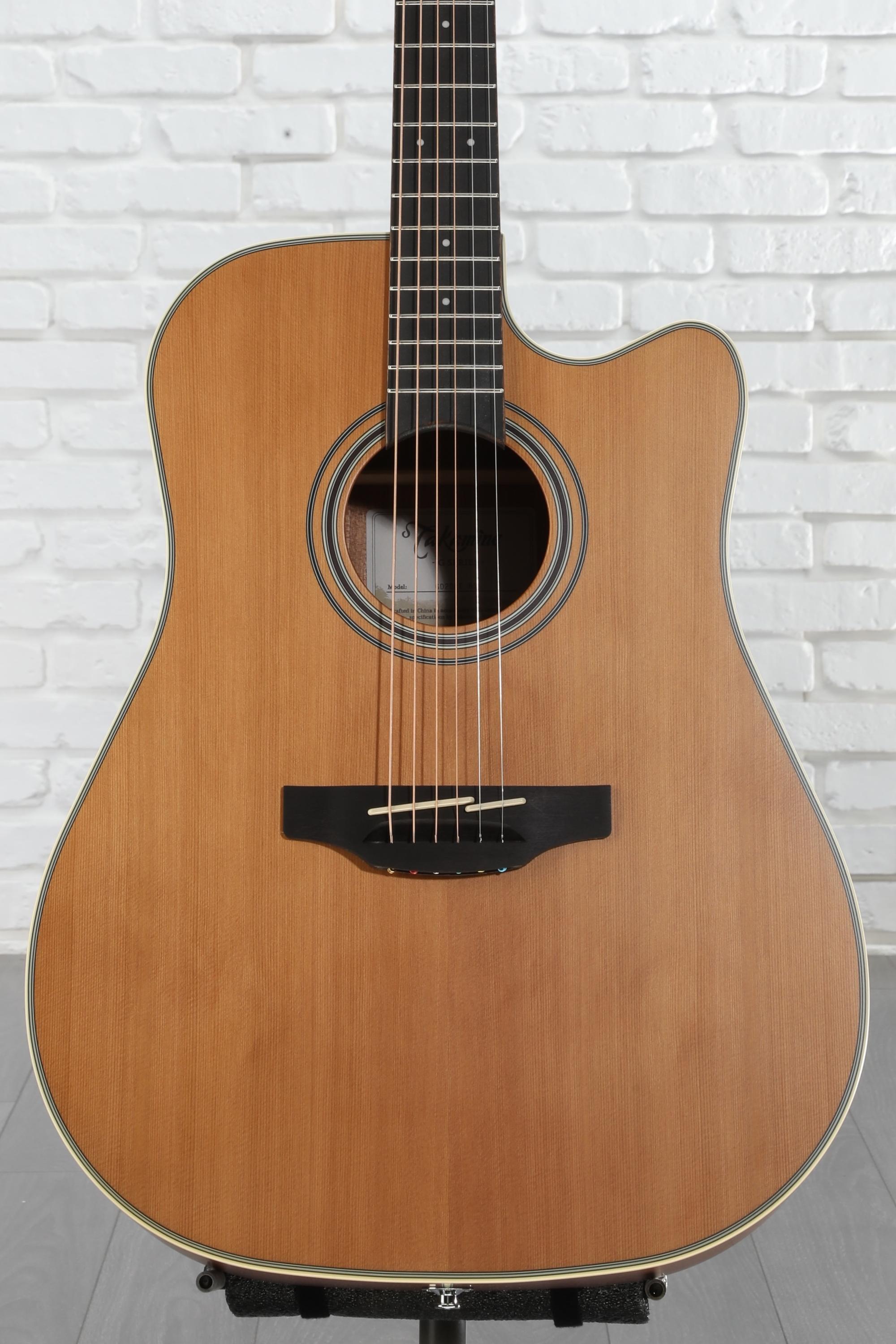 Takamine GD20CE-NS Acoustic-Electric Guitar - Natural Satin