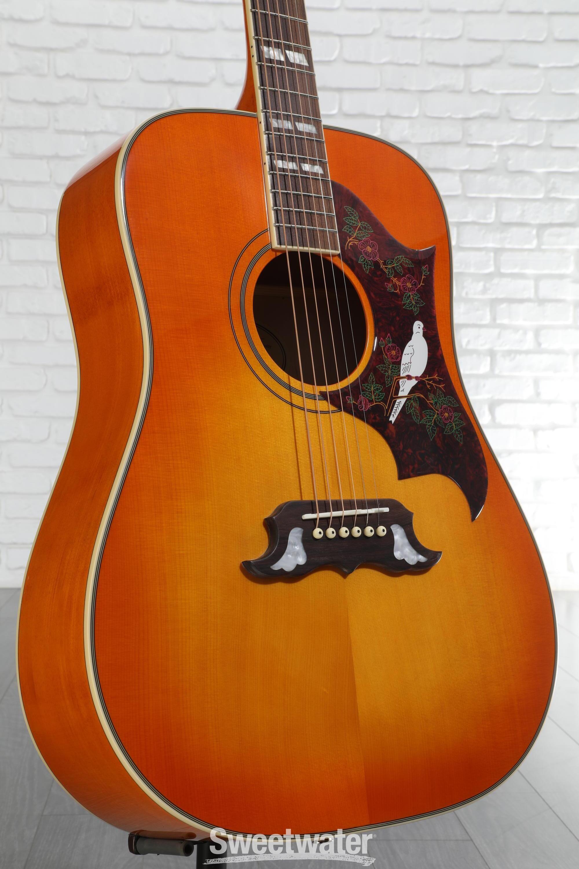 ギター Epiphone Dove Pro Epiphone Dove Studio – United States