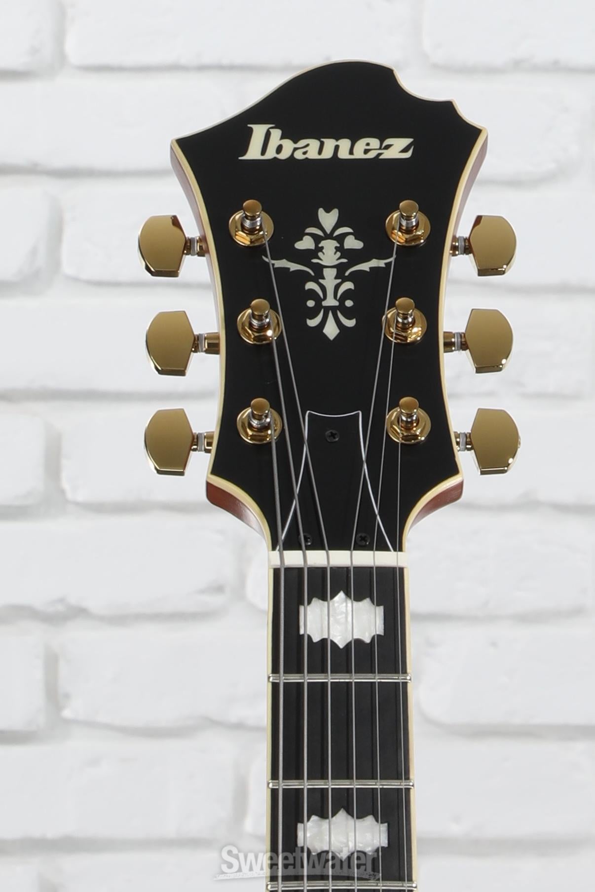 cotrane様　Ibanez PM3C Natural Amber Ibanez Pat Metheny Signature PM3C Natural Amber Low Gloss