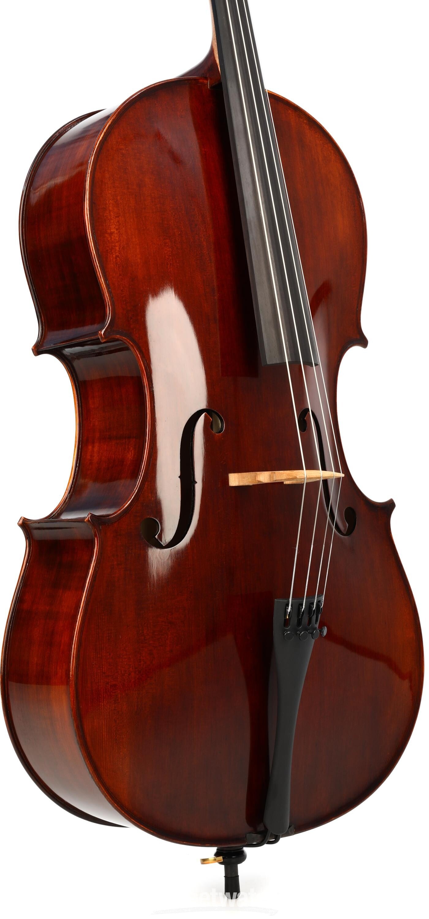 Eastman VC305 Andreas Eastman Intermediate Cello - 4/4 Size