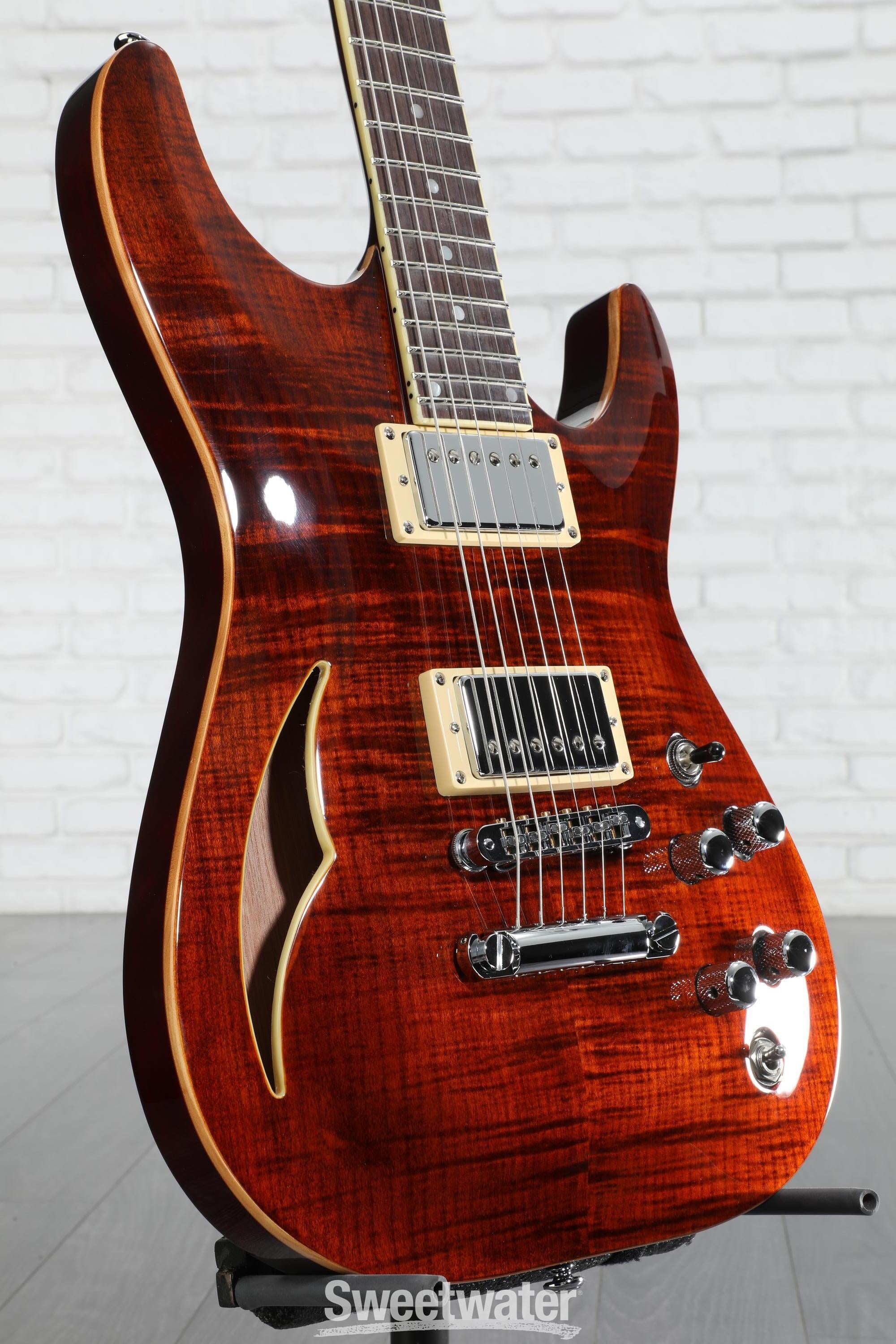 Schecter C-1 E/A Classic Semi-hollowbody Electric Guitar - Cats