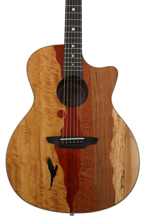 ギター LUNA GUITARS VISTA EAGLE Vista Eagle A/E with Hardshell Case | Luna Guitars