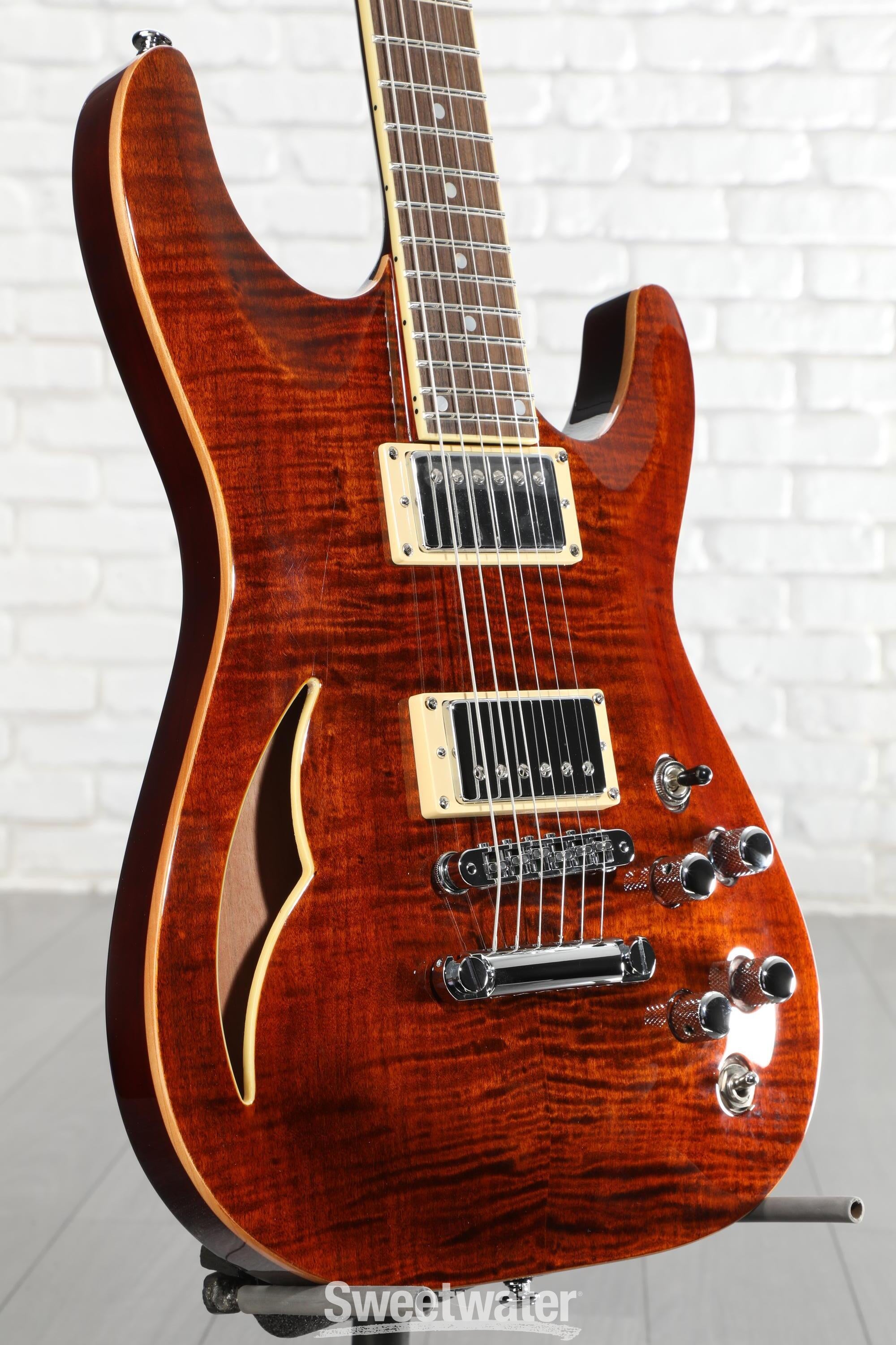 Schecter C-1 E/A Classic Semi-hollowbody Electric Guitar - Cats