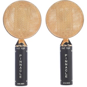 Bundled Item: Pinnacle Microphones Fat Top Ribbon Microphone Stereo Pair - Black/Gold