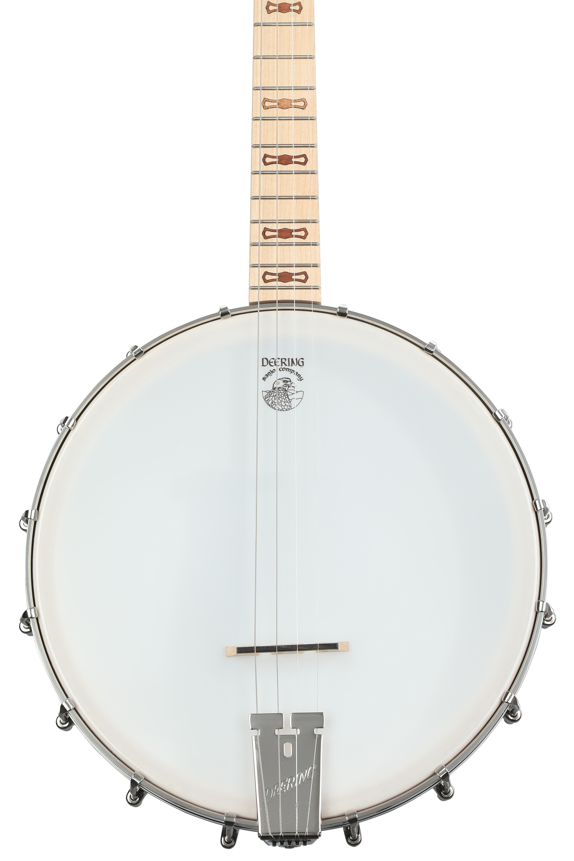 Banjo, Stringed, Fretted, Plucked