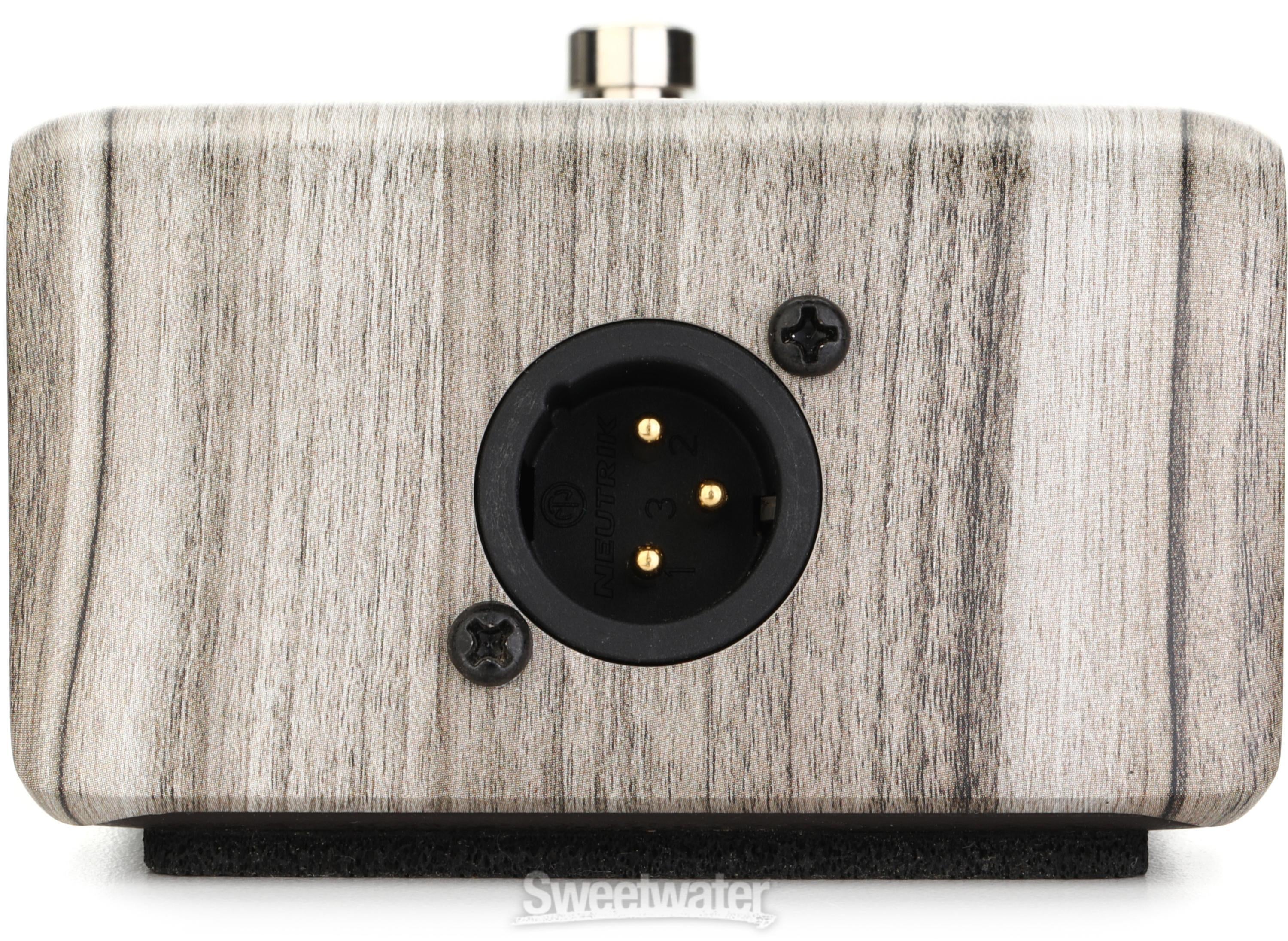 LR Baggs Align Active DI Acoustic Pedal | Sweetwater