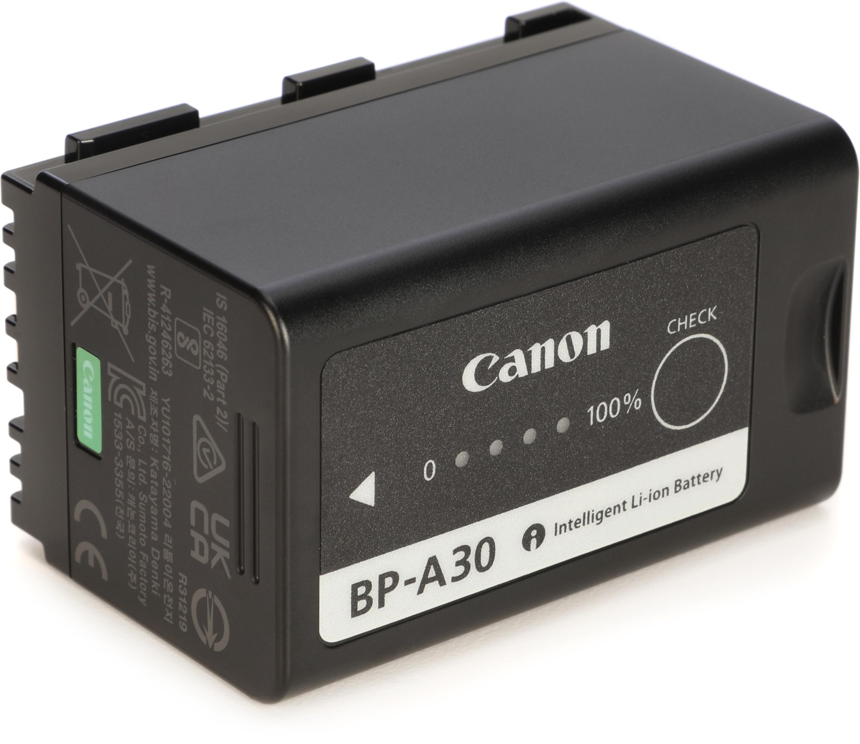 レビュー高評価商品 Battery BP-A30 Canon Pack Sweetwater | ビデオカメラ