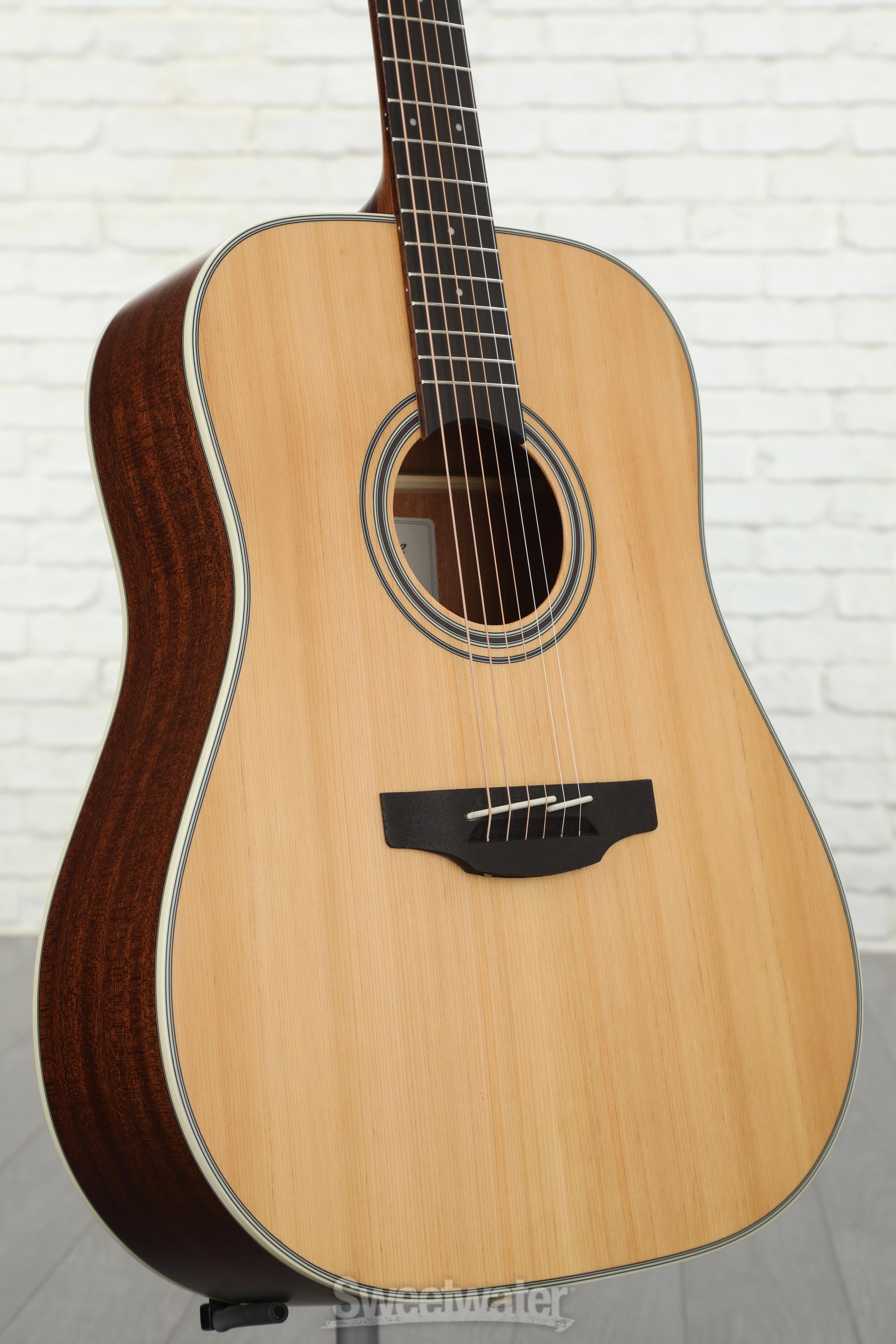 Takamine GD20 Acoustic Guitar - Natural Satin