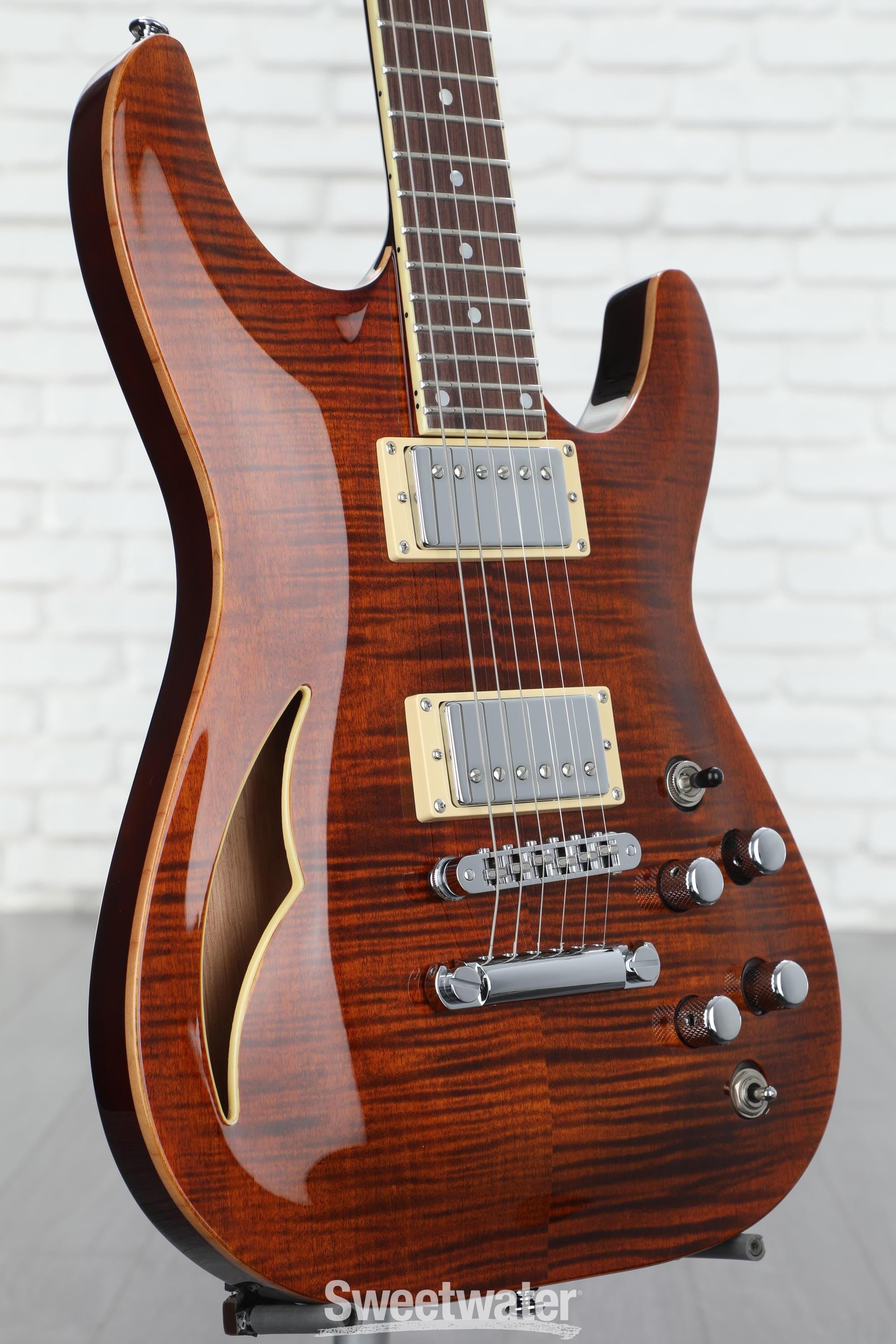 Schecter C-1 E/A Classic Semi-hollowbody Electric Guitar - Cats  