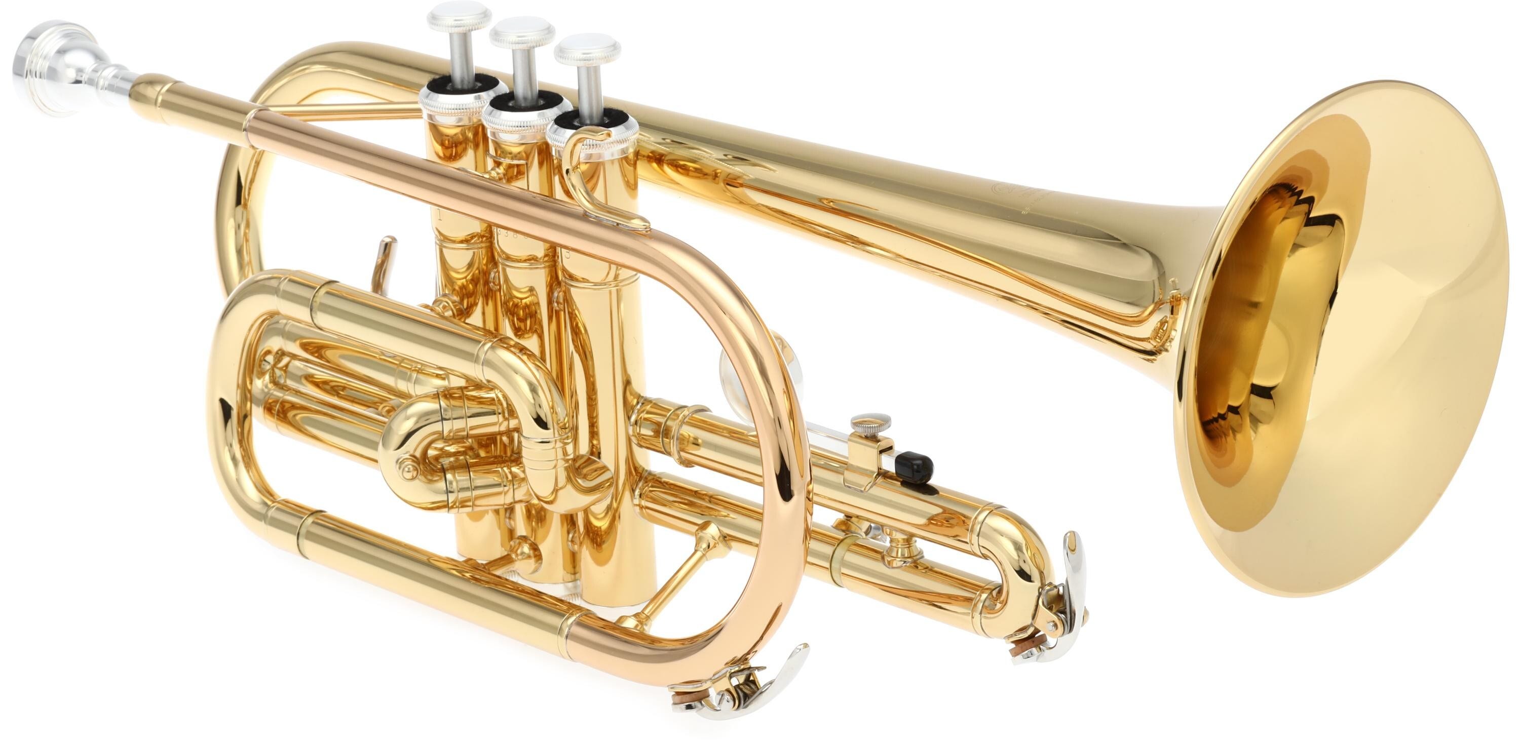 Gold Lacquer Cornet Horns, Wholesale Brass Instrument, Gift for