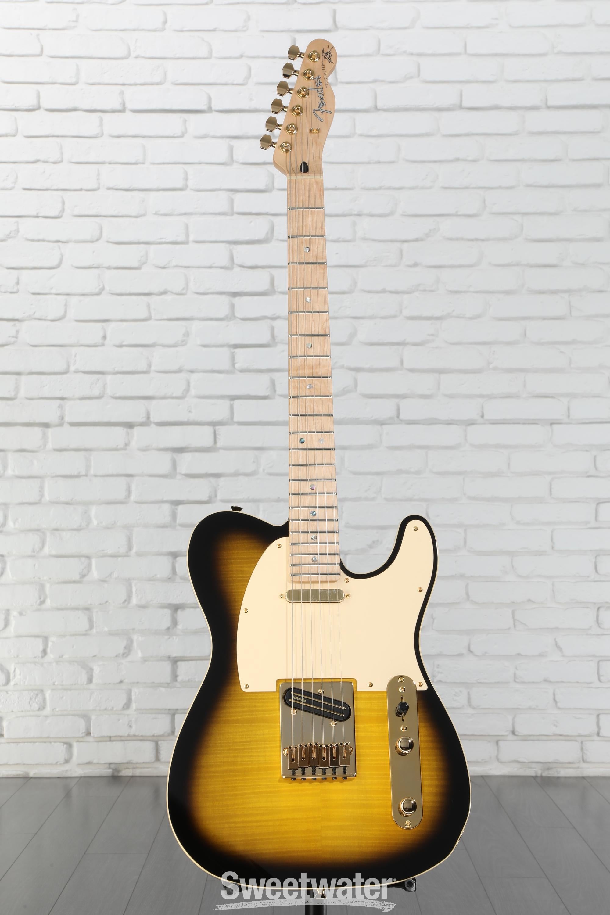 ギター Fender Richie Kotzen Telecastar Fender 025-5202-532 Richie Kotzen Signature MIJ Tele, Brown