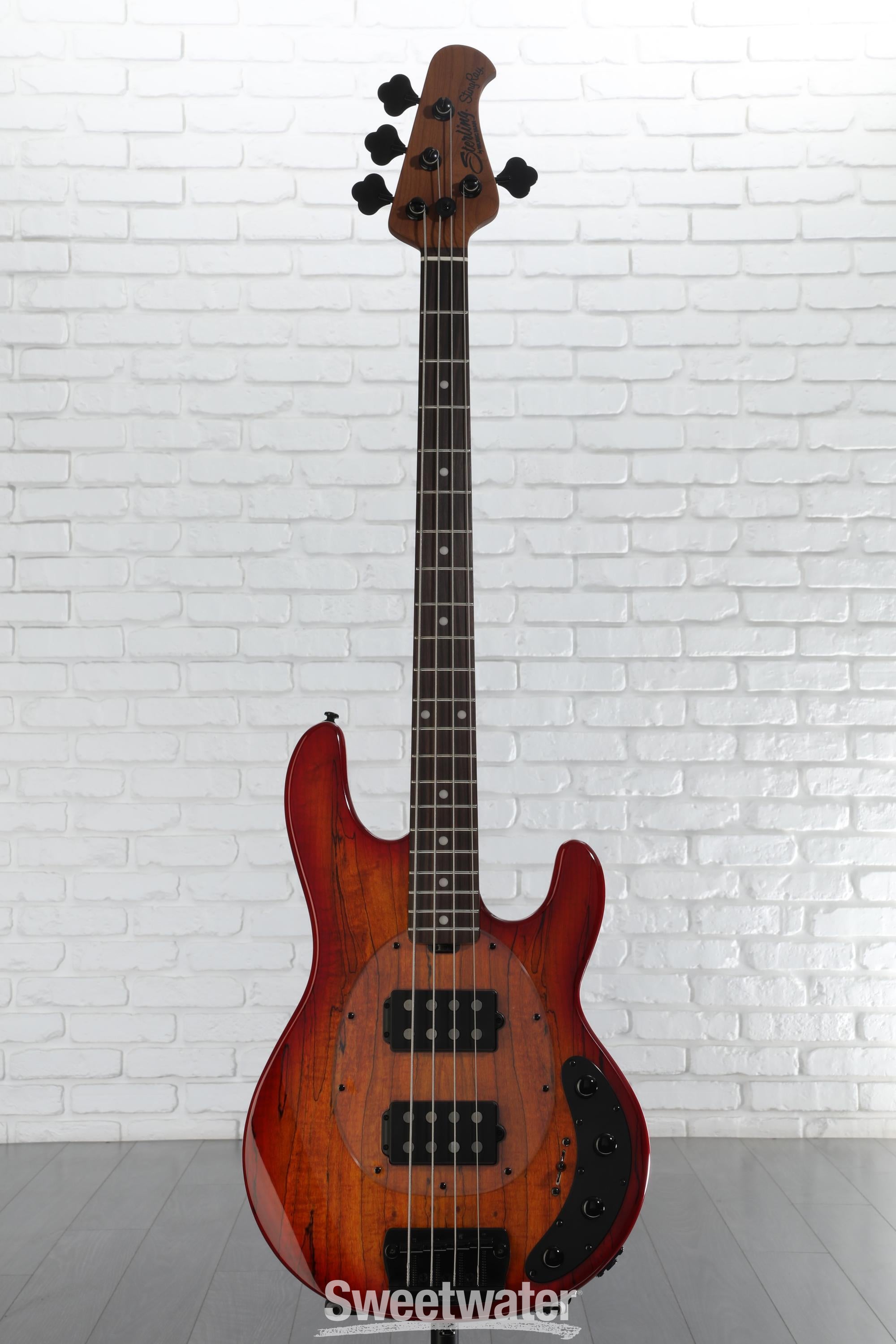 やーまん Sterling by Music Man StingRay 34HH Spalted Maple Bass