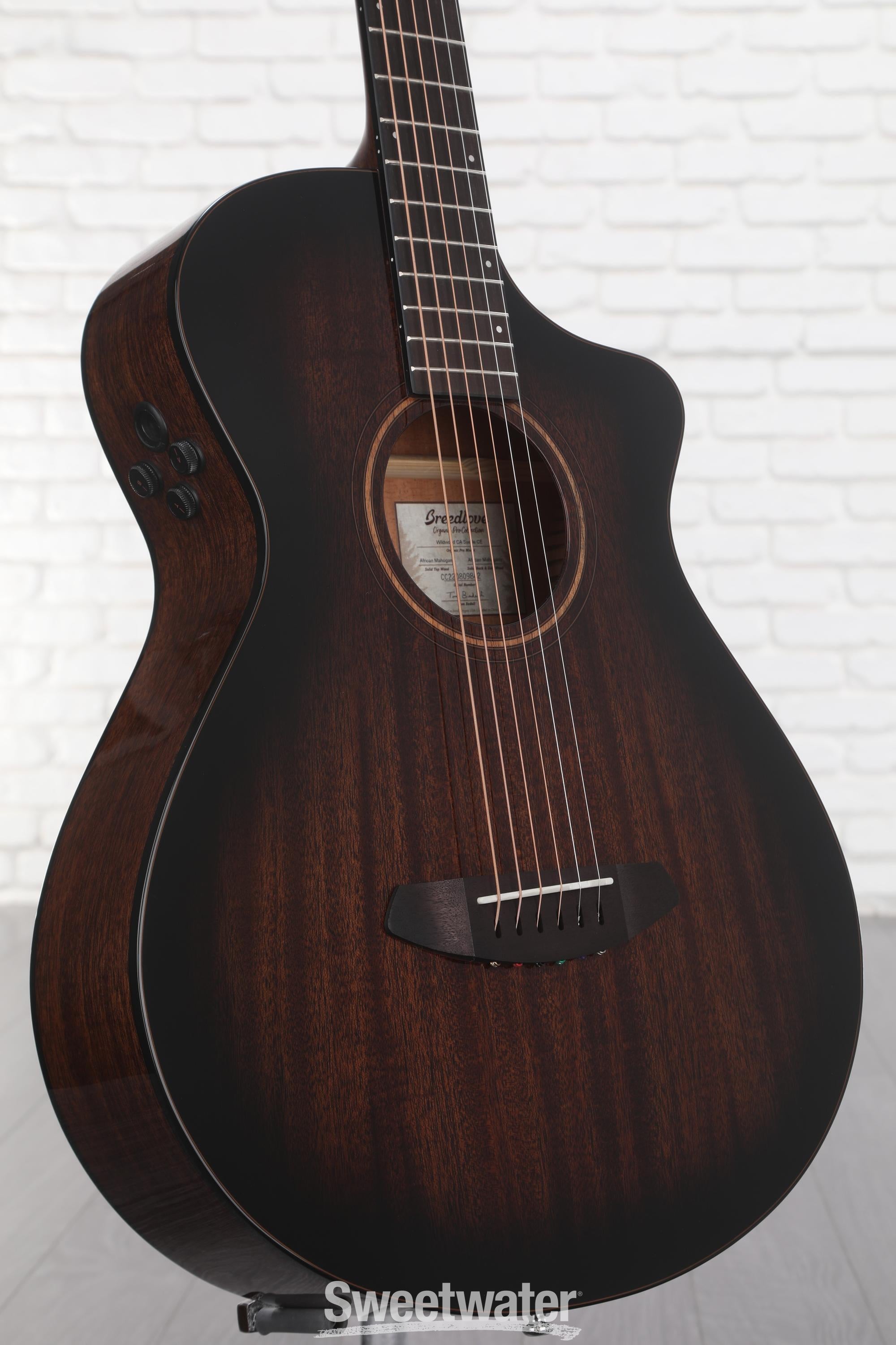 Breedlove Organic Wildwood Pro Parlor Concertina CE Acoustic