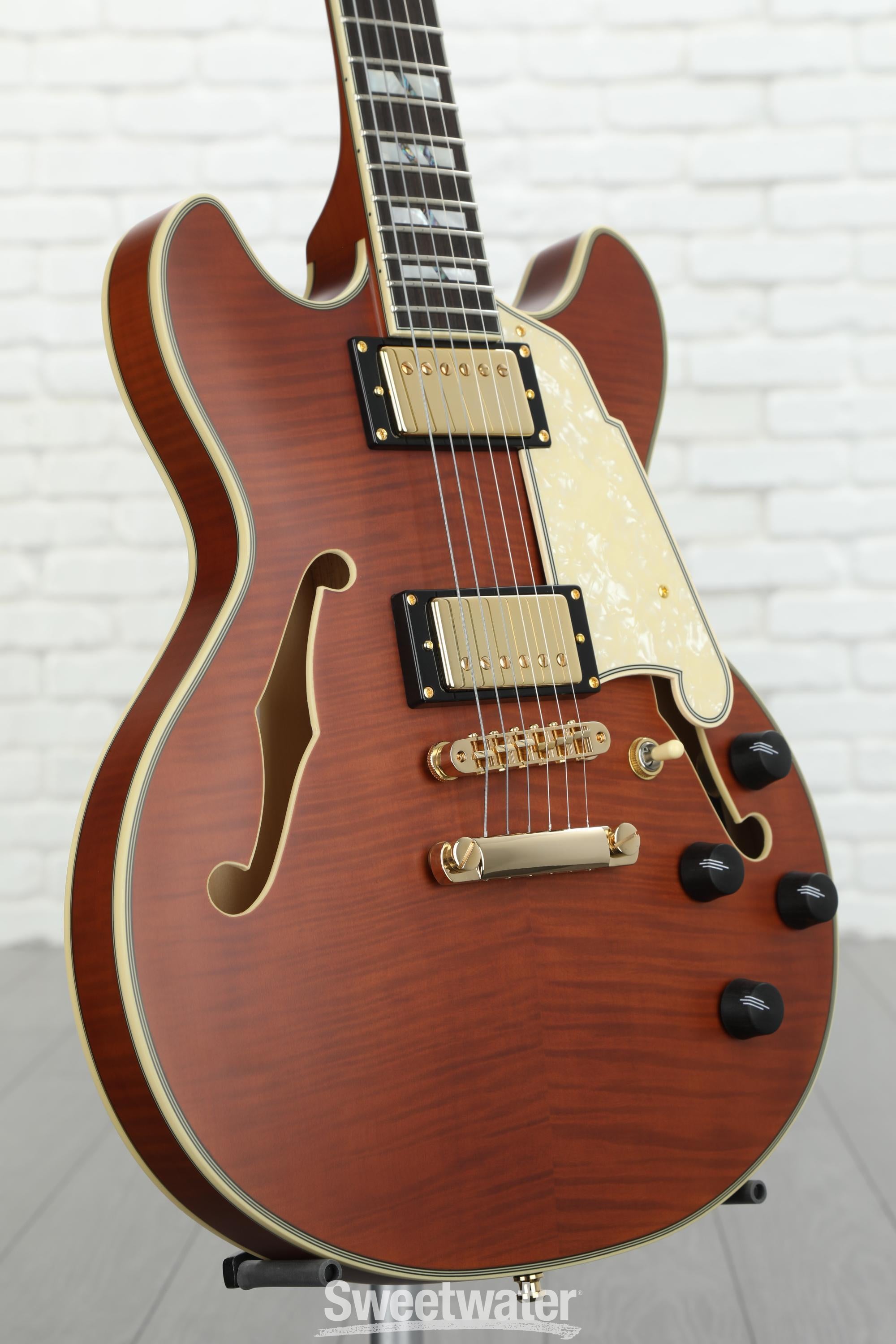 D'Angelico Deluxe Mini DC Limited Edition Semi-hollow Electric