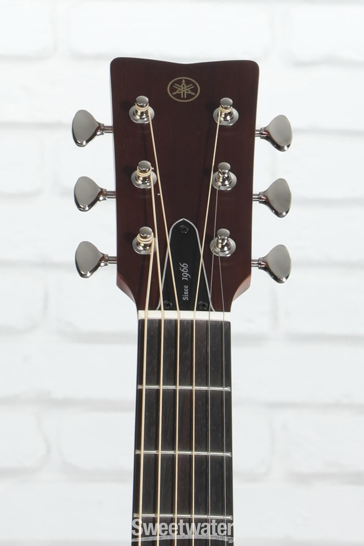 YAMAHA　FGX5 Yamaha Red Label FGX5 Acoustic Guitar - Natural | Sweetwater