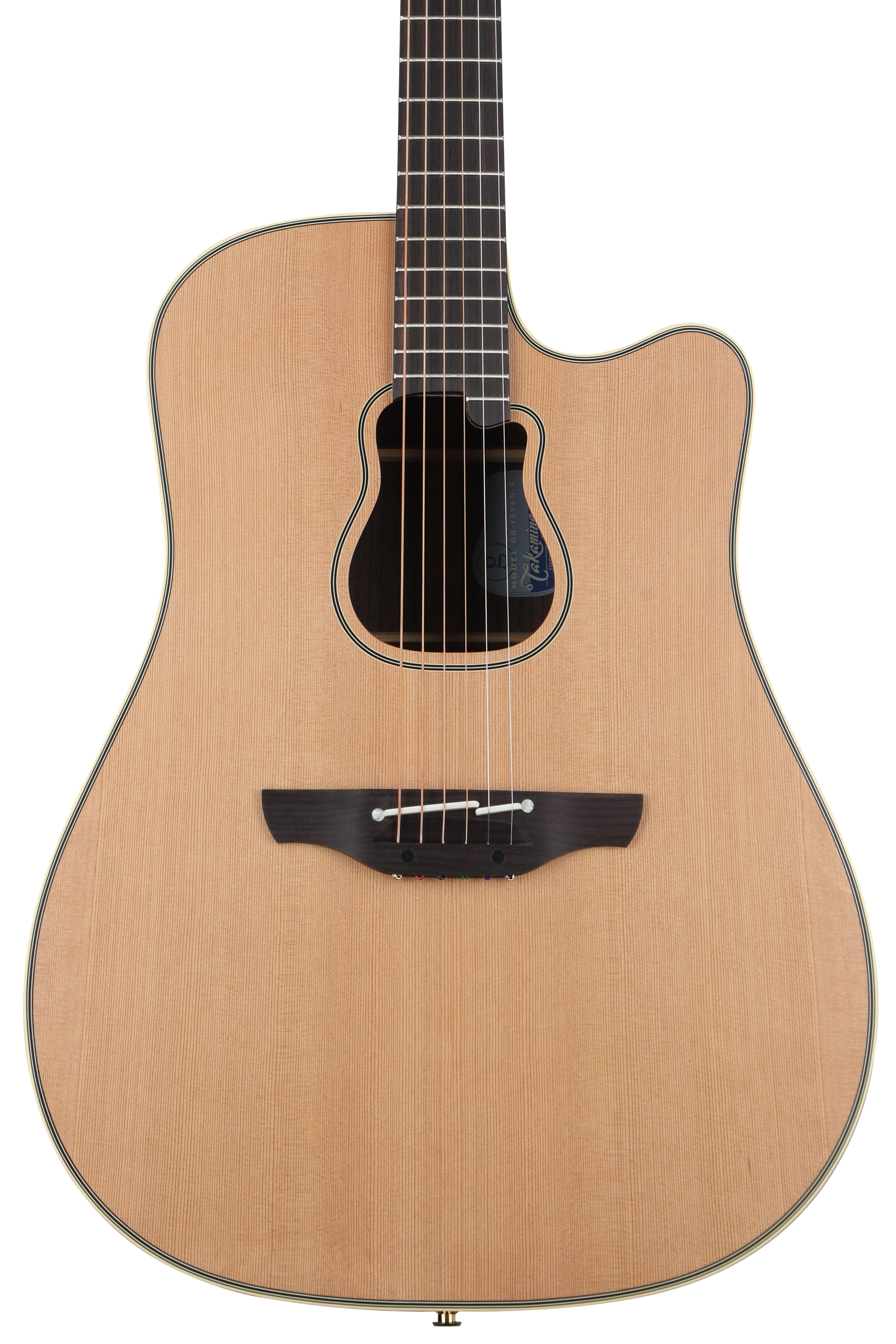 ギター THE ART OF WOOD AND TONE Takamine Takamine TAN77 | Sweetwater