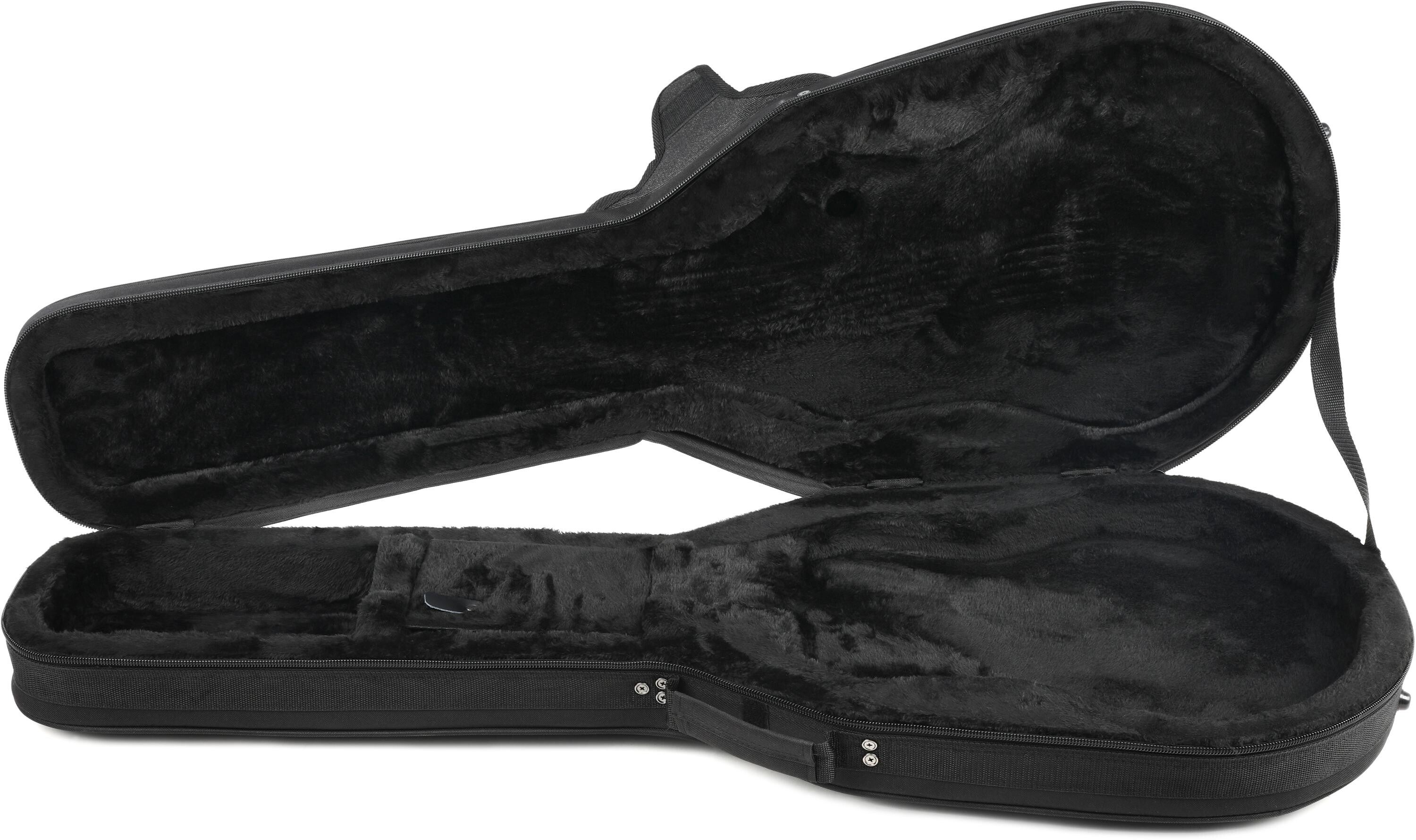 Gator lightweight 2024 guitar case