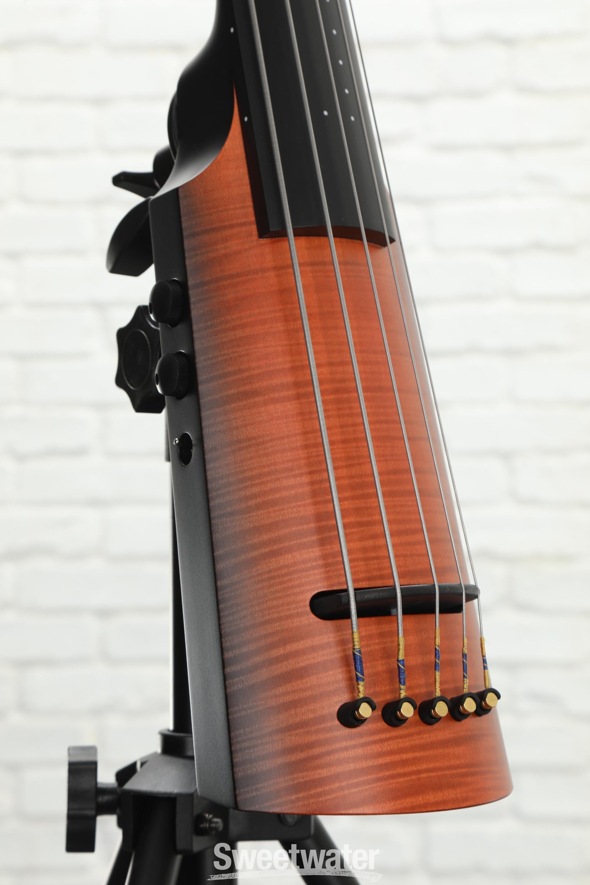 NS Design NXTa Active Series 5-String Omni Bass B-G Sunburst