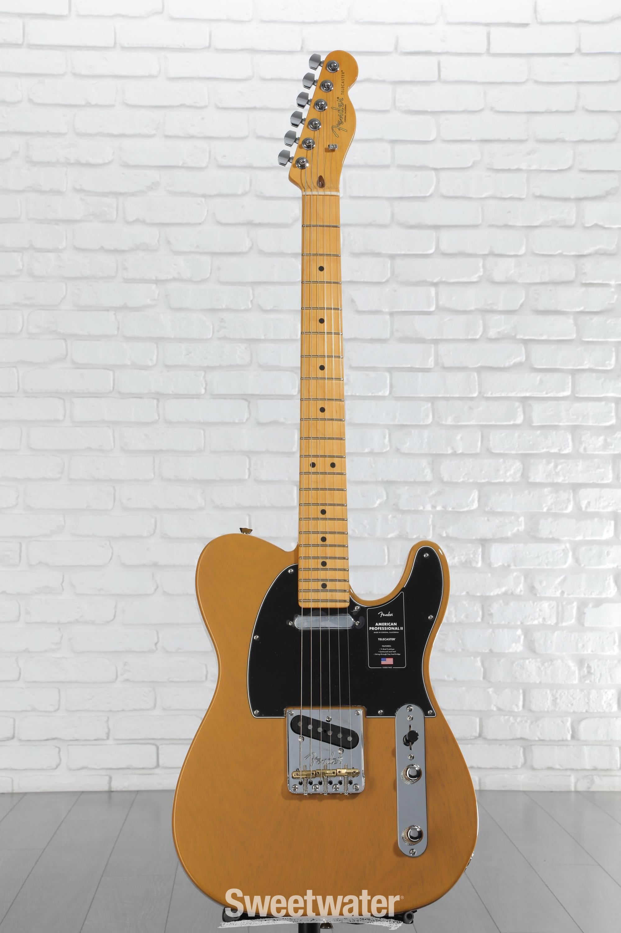 ギター FENDER American Professional Telecaster Fender American Professional II Telecaster Electric Guitar