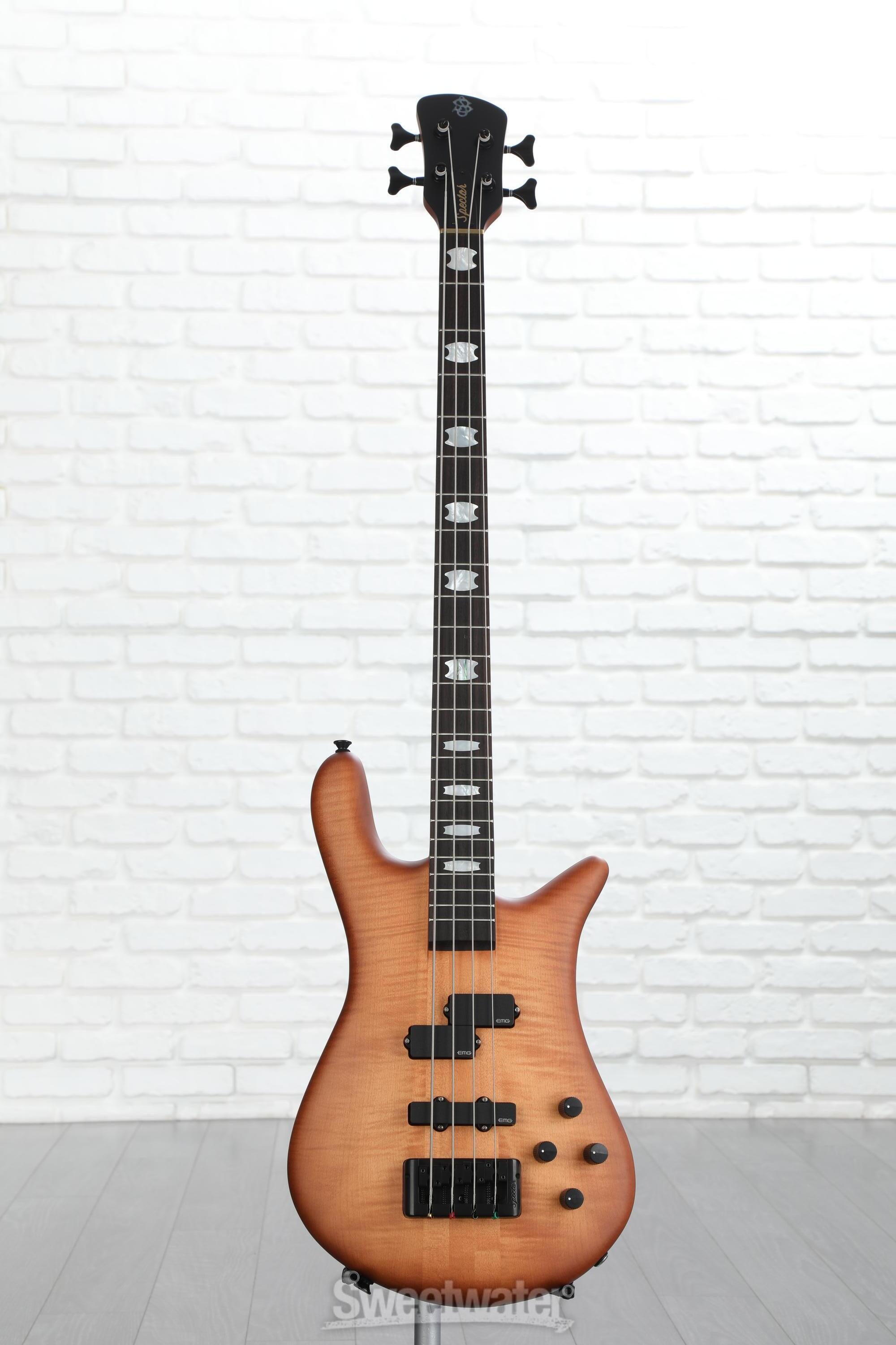 Euro4 LX by Spector Bass Guitars