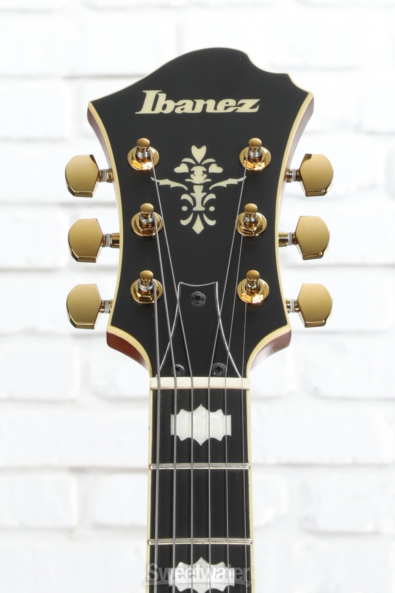 Ibanez PM3C Pat Metheny Signature Hollowbody Electric Guitar