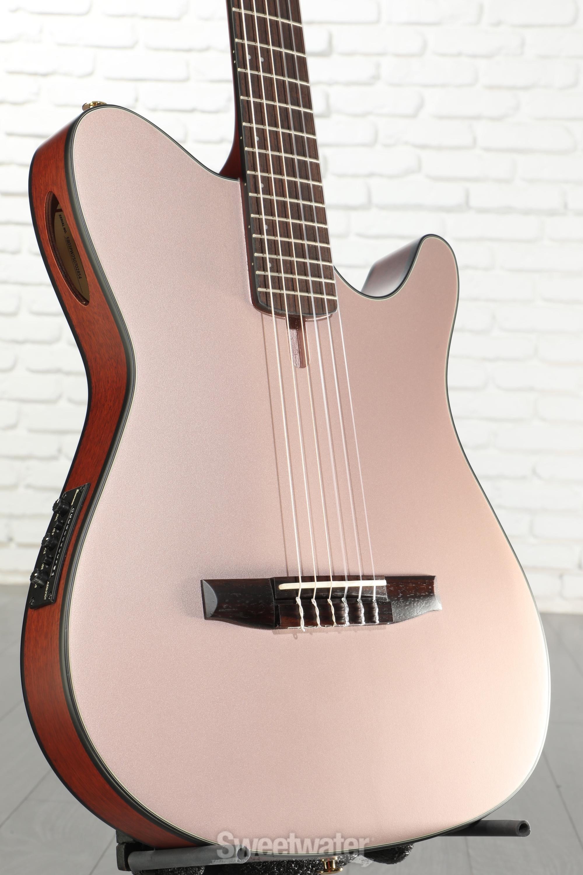 Ibanez FRH10N Thinline Nylon Acoustic-electric Guitar - Rose Gold