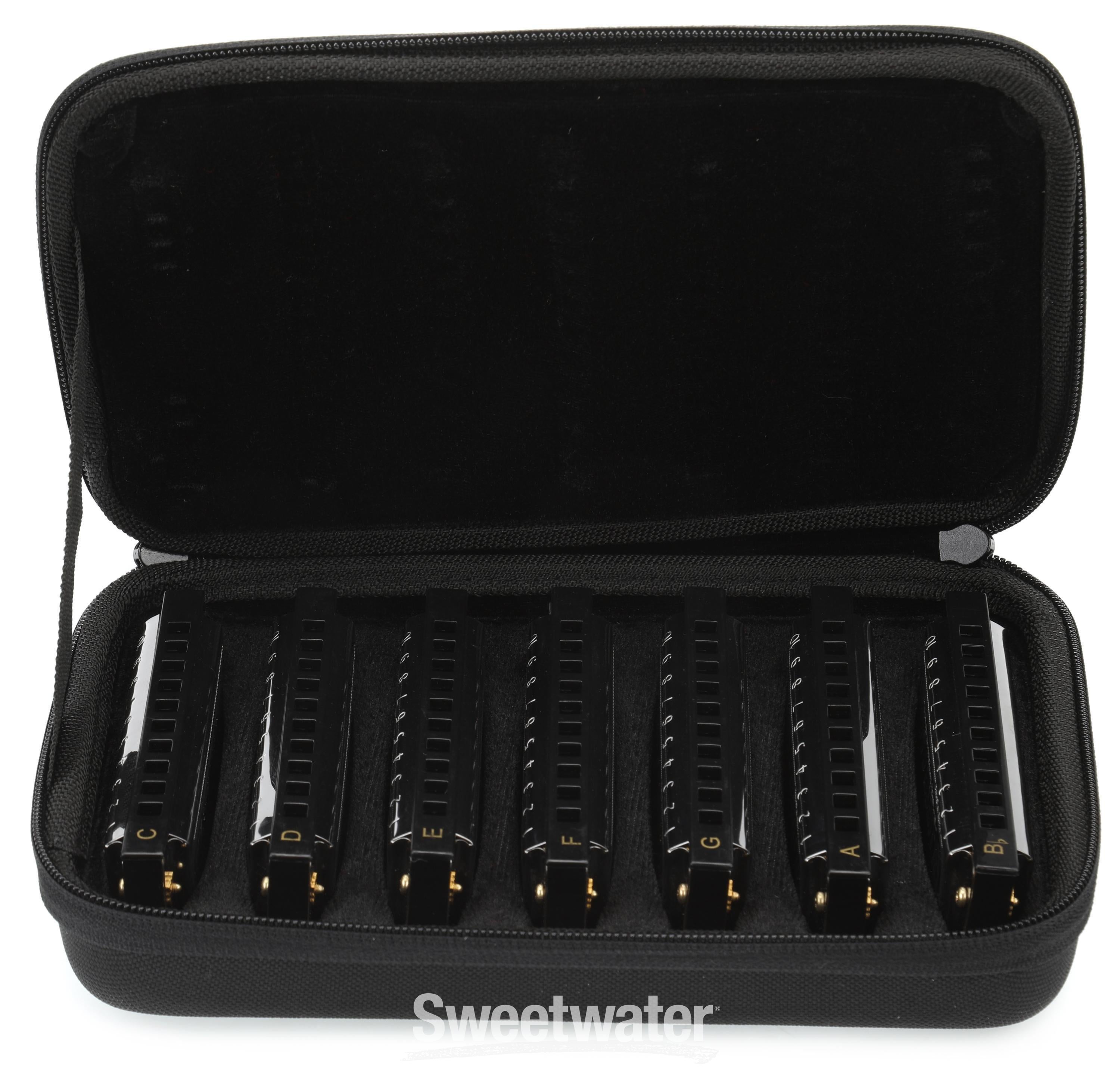 Hohner Blues Harmonica Set 7本セット 61x5N-Wv6dL._UF350,350_QL80_.jpg