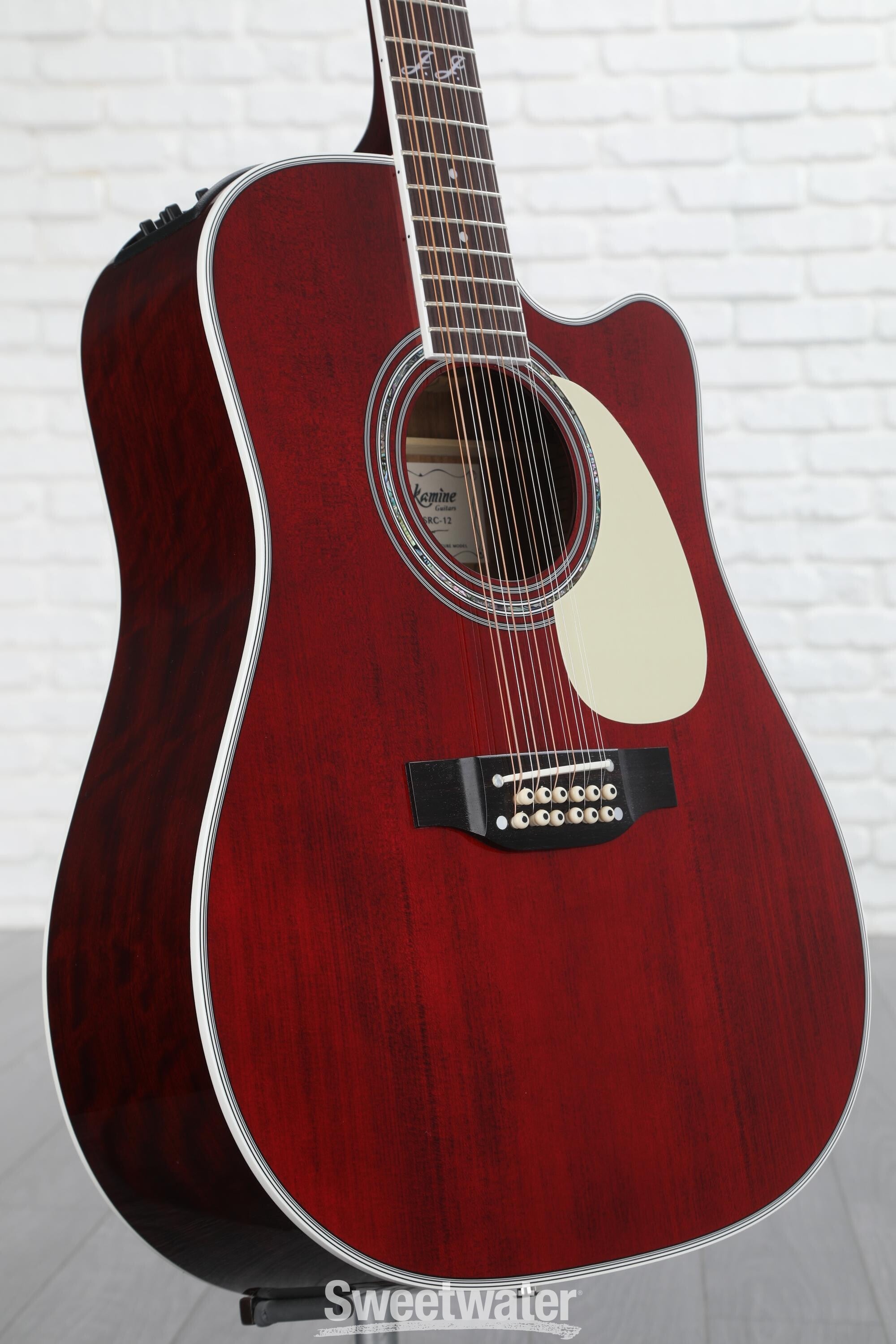 Takamine john deals jorgenson 12 string