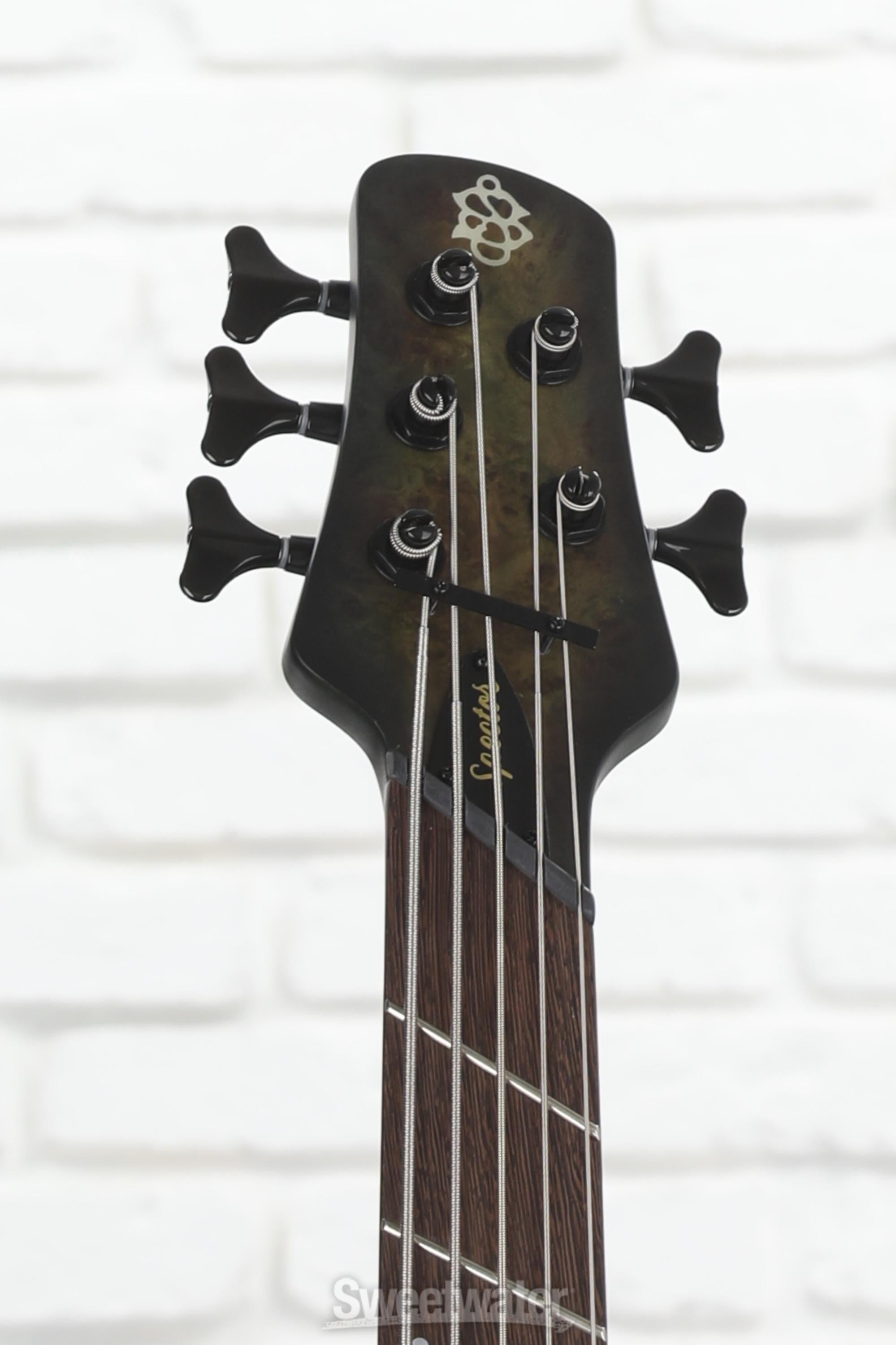 Spector NS Dimension 5 Bass Guitar - Haunted Moss Matte | Sweetwater